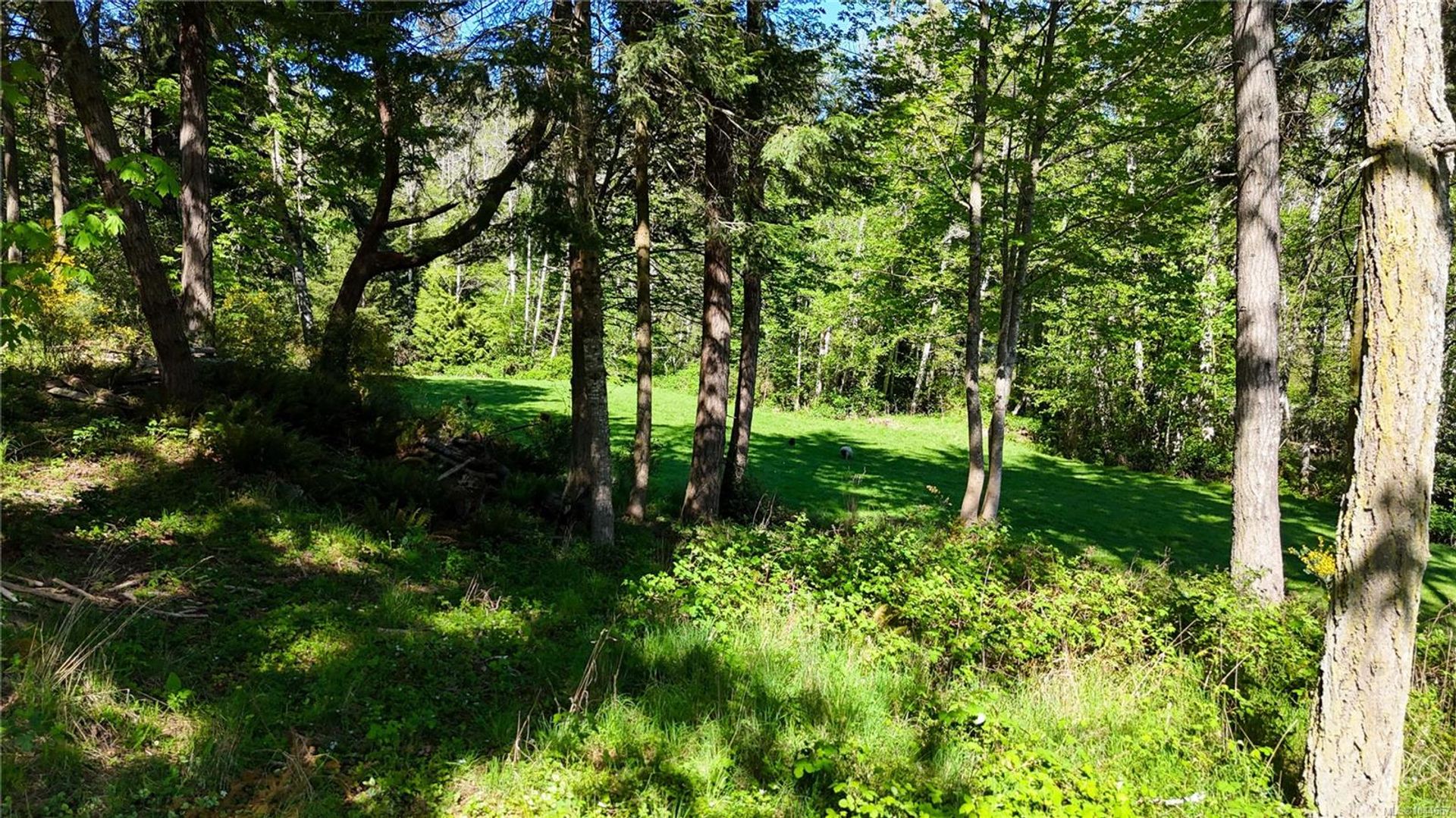 265-lower-ganges-salt-spring-gulf-islands-25 at 265 Lower Ganges Road, Salt Spring, Gulf Islands