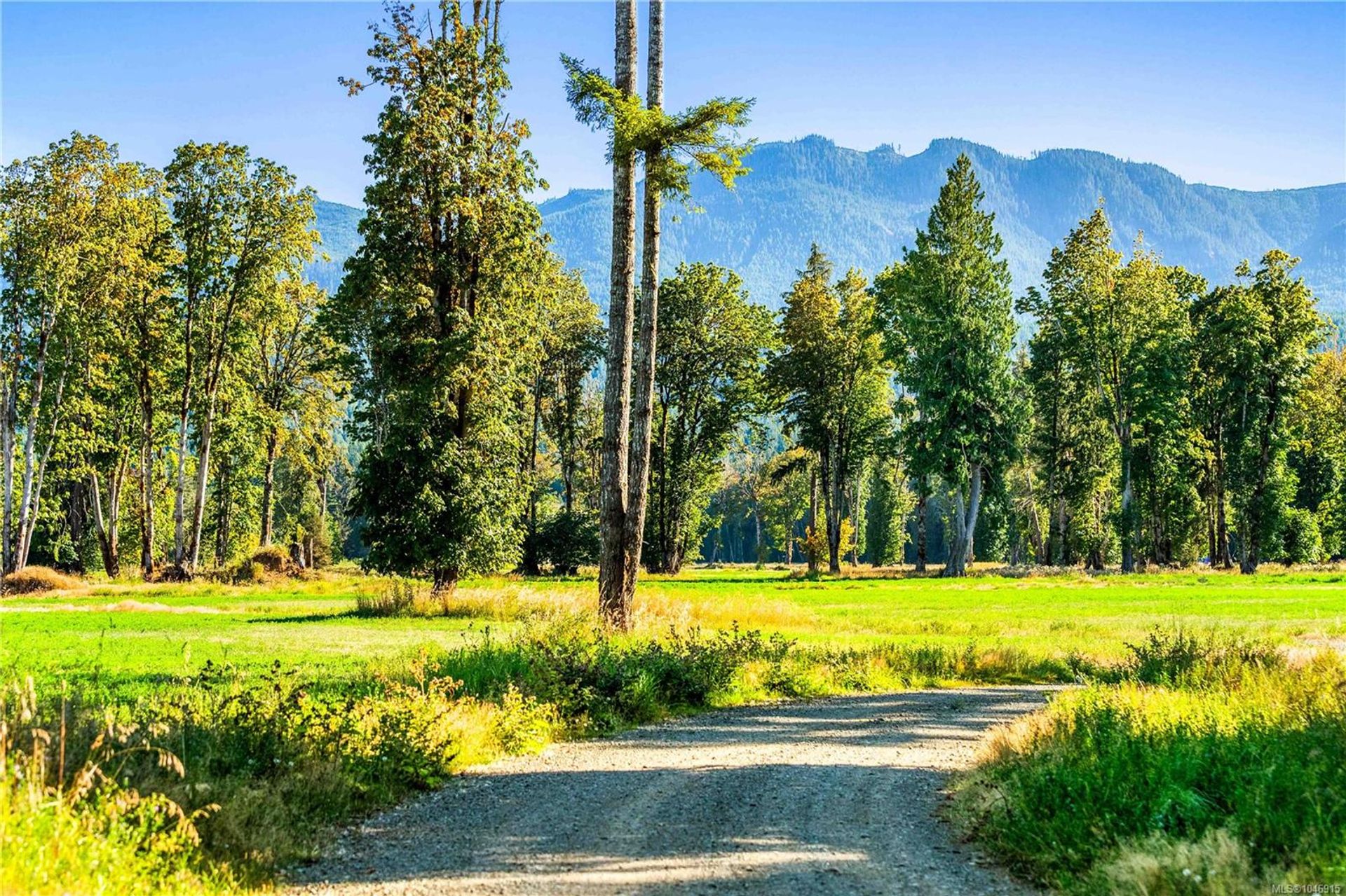lot-1-wavell-union-bayfanny-bay-comox-valley-06 at Lot 1 Wavell Road, Union Bay/Fanny Bay, Comox Valley