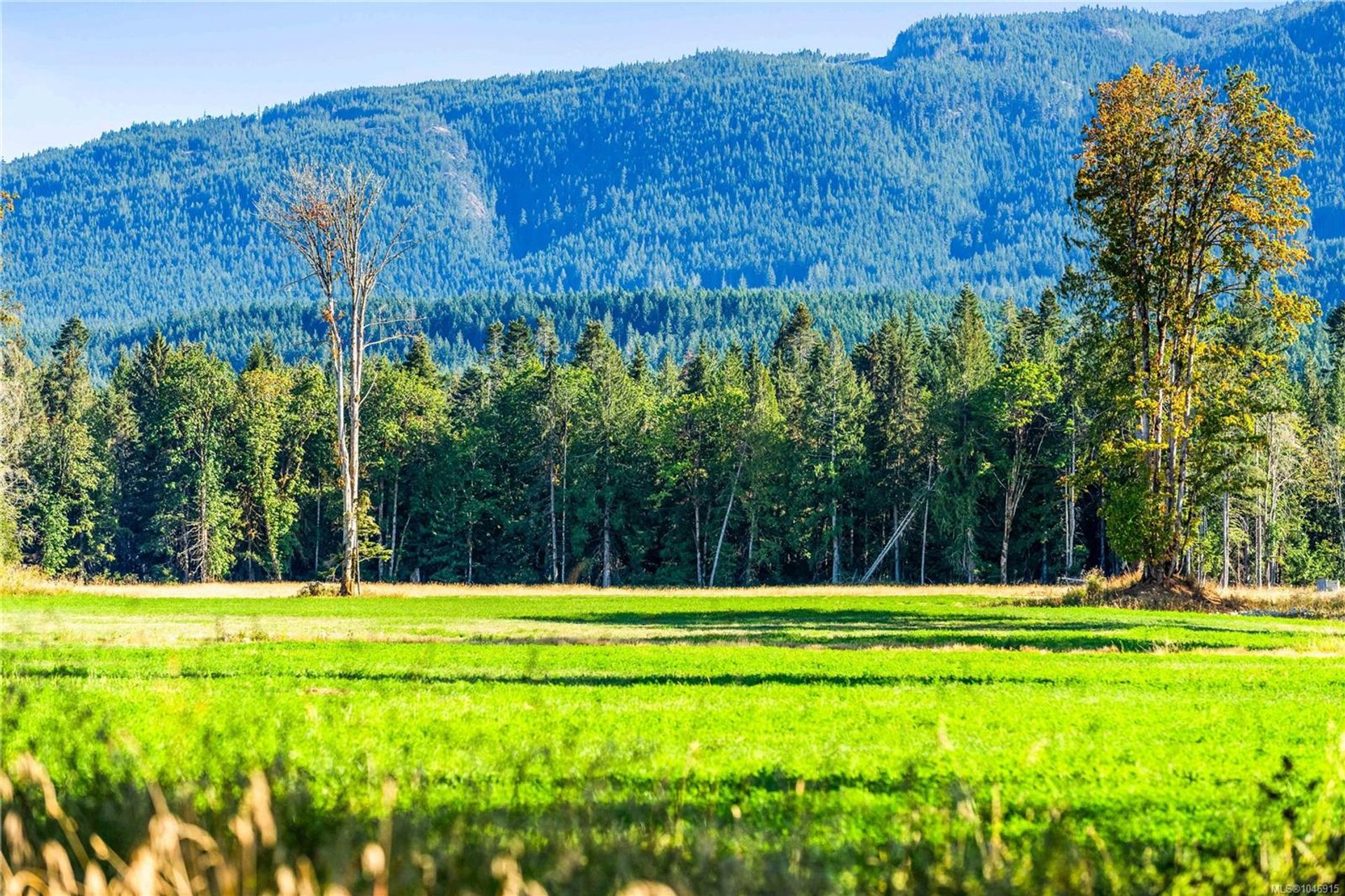 lot-1-wavell-union-bayfanny-bay-comox-valley-07 at Lot 1 Wavell Road, Union Bay/Fanny Bay, Comox Valley