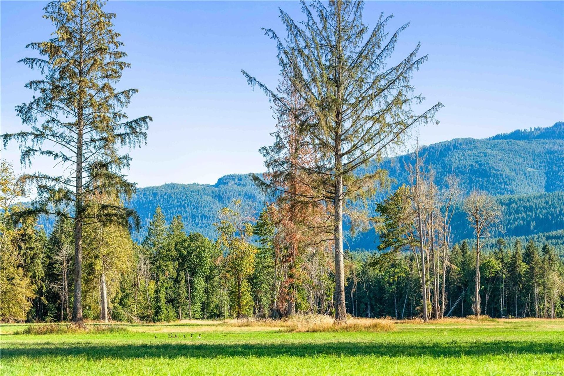 lot-1-wavell-union-bayfanny-bay-comox-valley-08 at Lot 1 Wavell Road, Union Bay/Fanny Bay, Comox Valley