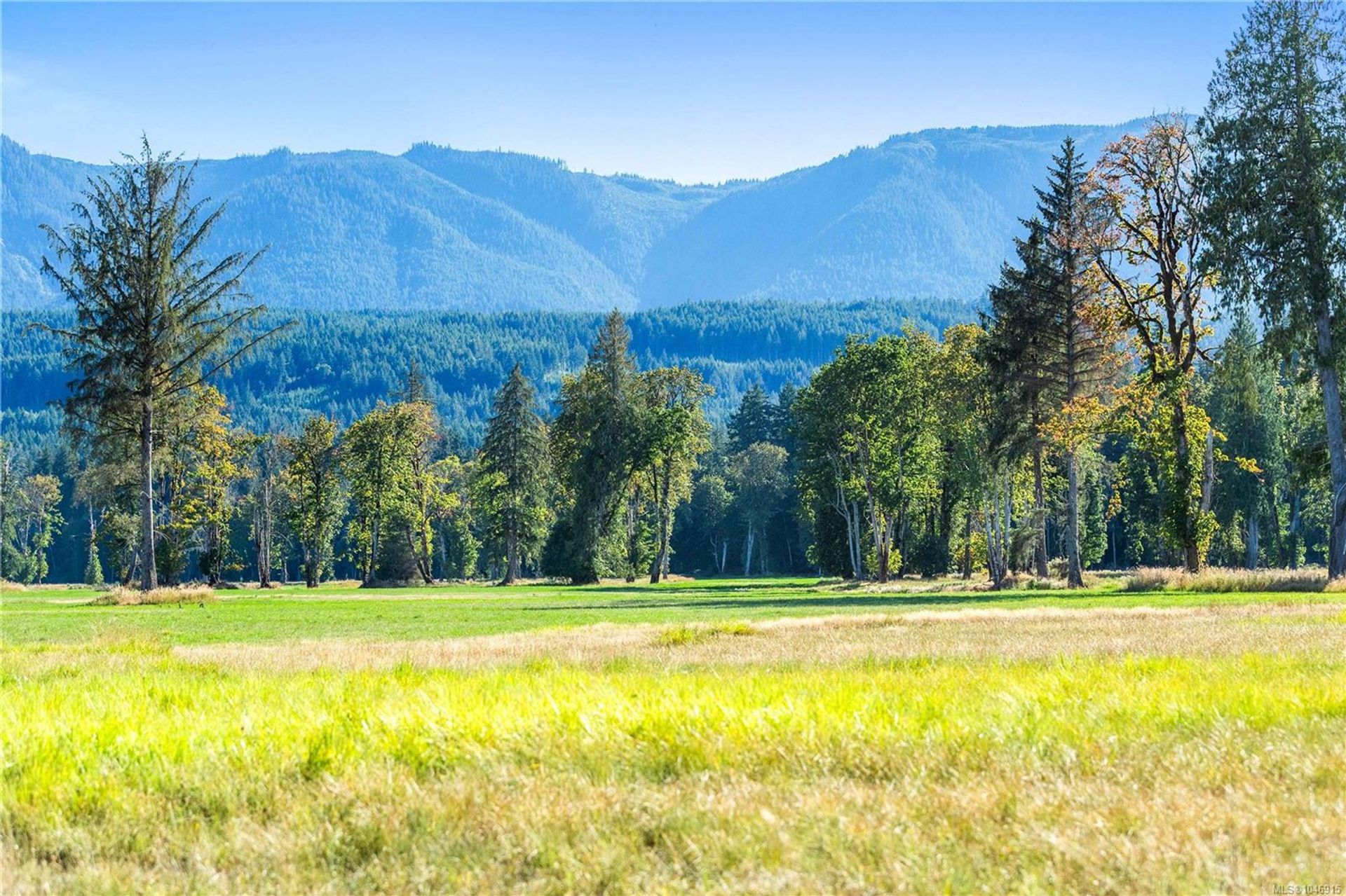 lot-1-wavell-union-bayfanny-bay-comox-valley-09 at Lot 1 Wavell Road, Union Bay/Fanny Bay, Comox Valley