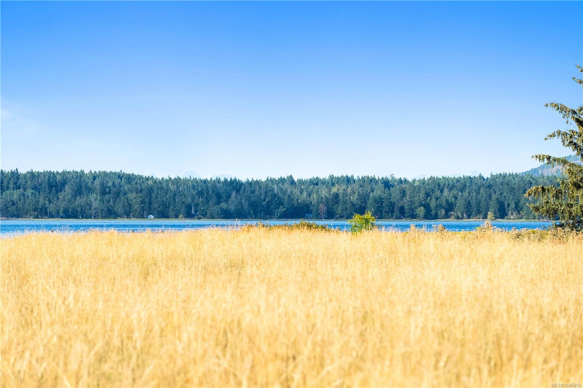lot-1-wavell-union-bayfanny-bay-comox-valley-18 at Lot 1 Wavell Road, Union Bay/Fanny Bay, Comox Valley