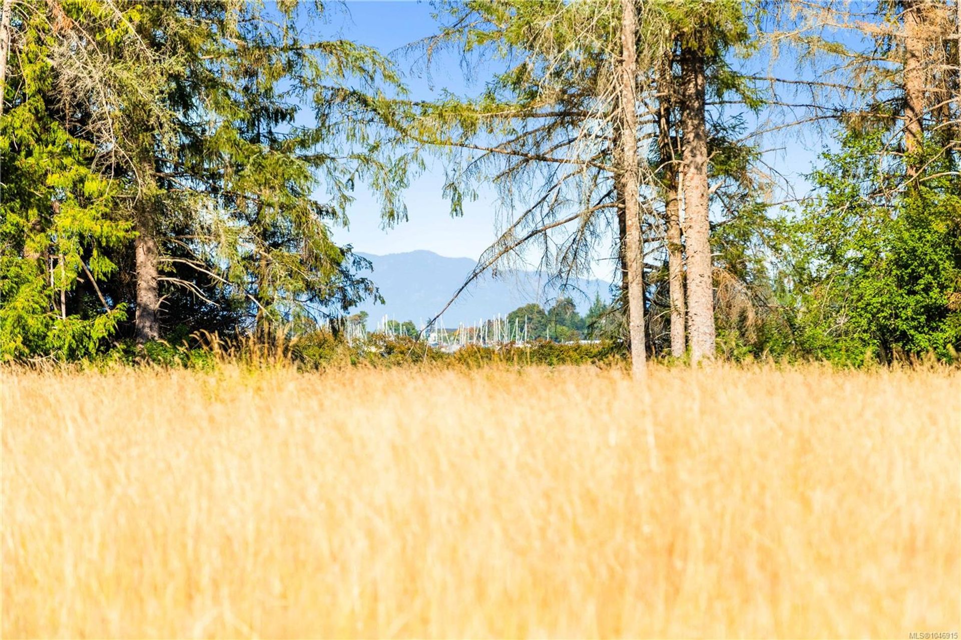 lot-1-wavell-union-bayfanny-bay-comox-valley-19 at Lot 1 Wavell Road, Union Bay/Fanny Bay, Comox Valley