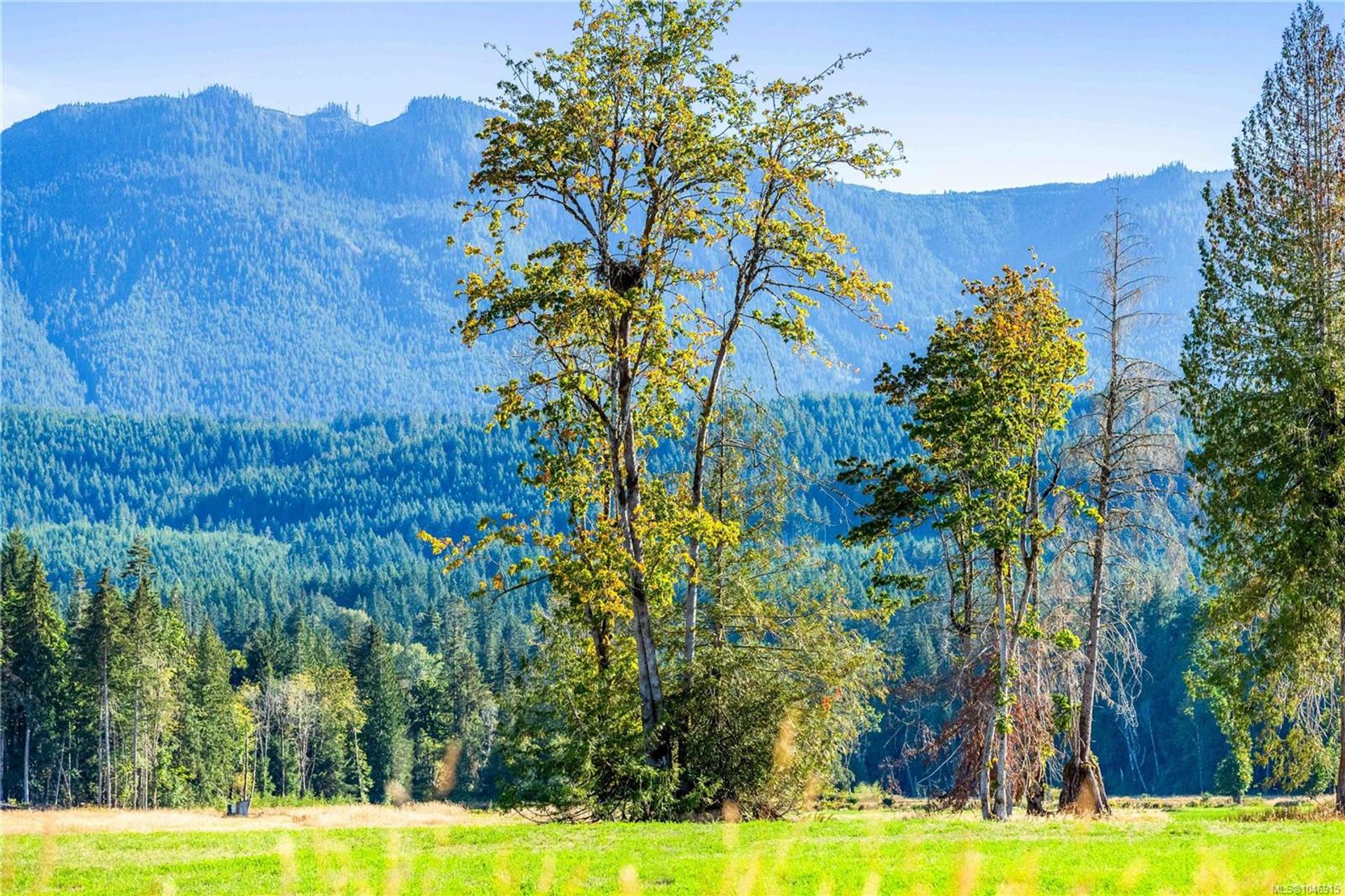lot-1-wavell-union-bayfanny-bay-comox-valley-21 at Lot 1 Wavell Road, Union Bay/Fanny Bay, Comox Valley