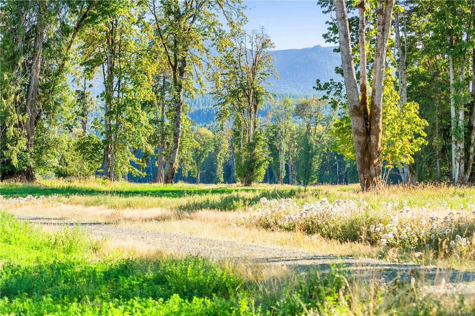 lot-1-wavell-union-bayfanny-bay-comox-valley-22 at Lot 1 Wavell Road, Union Bay/Fanny Bay, Comox Valley