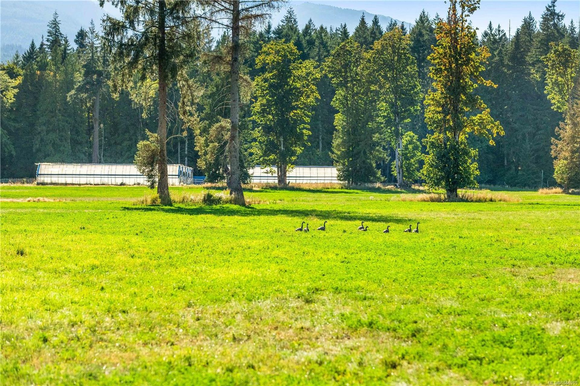 lot-1-wavell-union-bayfanny-bay-comox-valley-23 at Lot 1 Wavell Road, Union Bay/Fanny Bay, Comox Valley