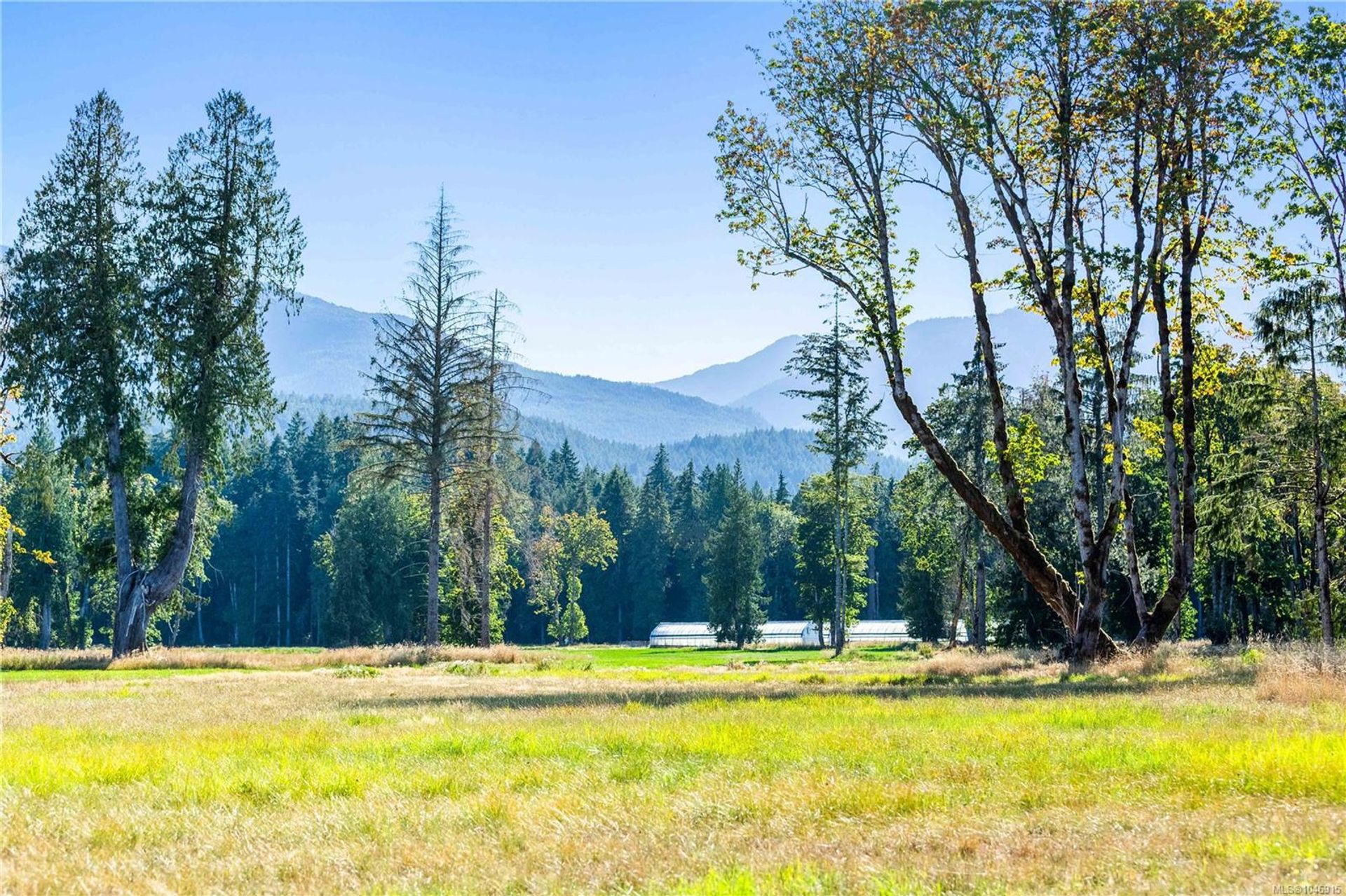 lot-1-wavell-union-bayfanny-bay-comox-valley-24 at Lot 1 Wavell Road, Union Bay/Fanny Bay, Comox Valley