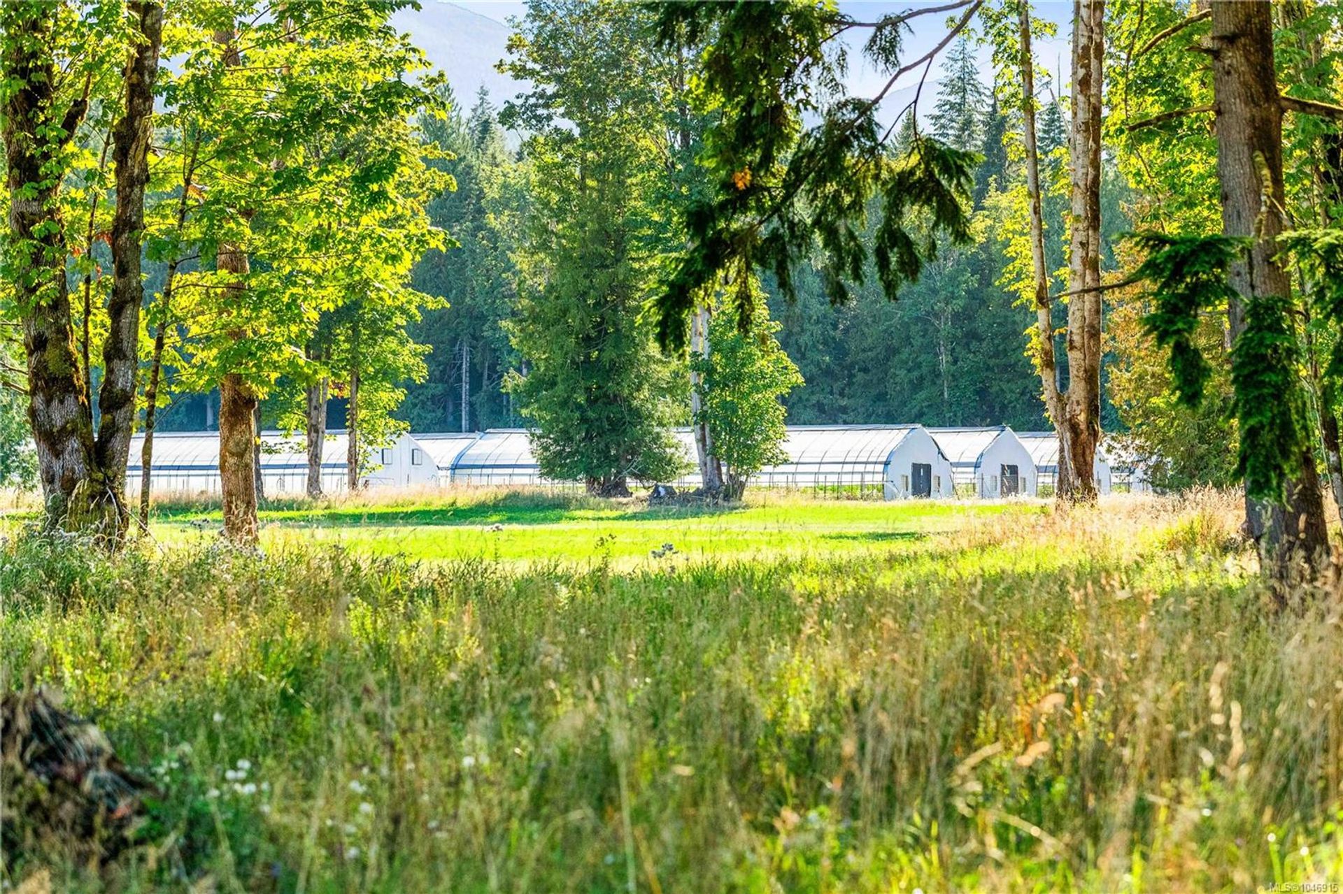 lot-1-wavell-union-bayfanny-bay-comox-valley-25 at Lot 1 Wavell Road, Union Bay/Fanny Bay, Comox Valley
