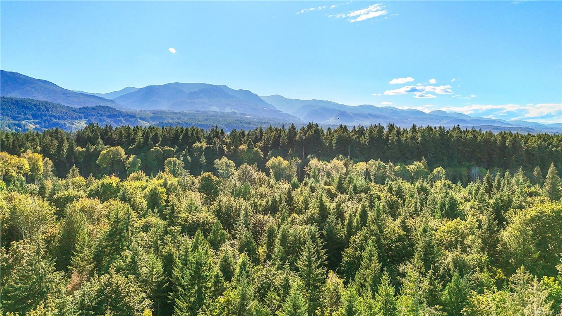 lot-1-wavell-union-bayfanny-bay-comox-valley-32 at Lot 1 Wavell Road, Union Bay/Fanny Bay, Comox Valley
