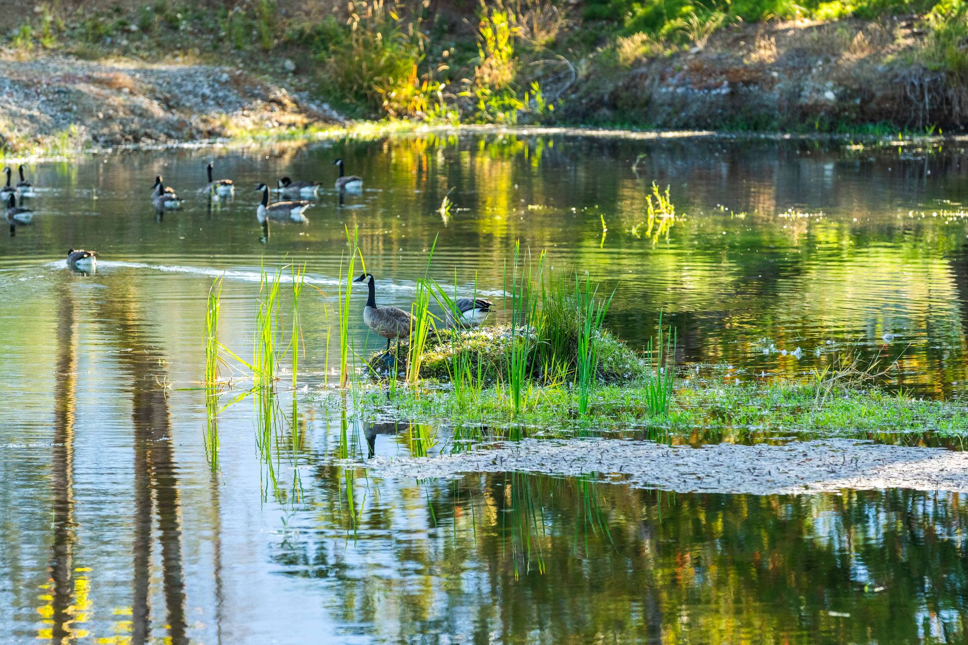  at Lot 1 Wavell Road, Union Bay/Fanny Bay, Comox Valley