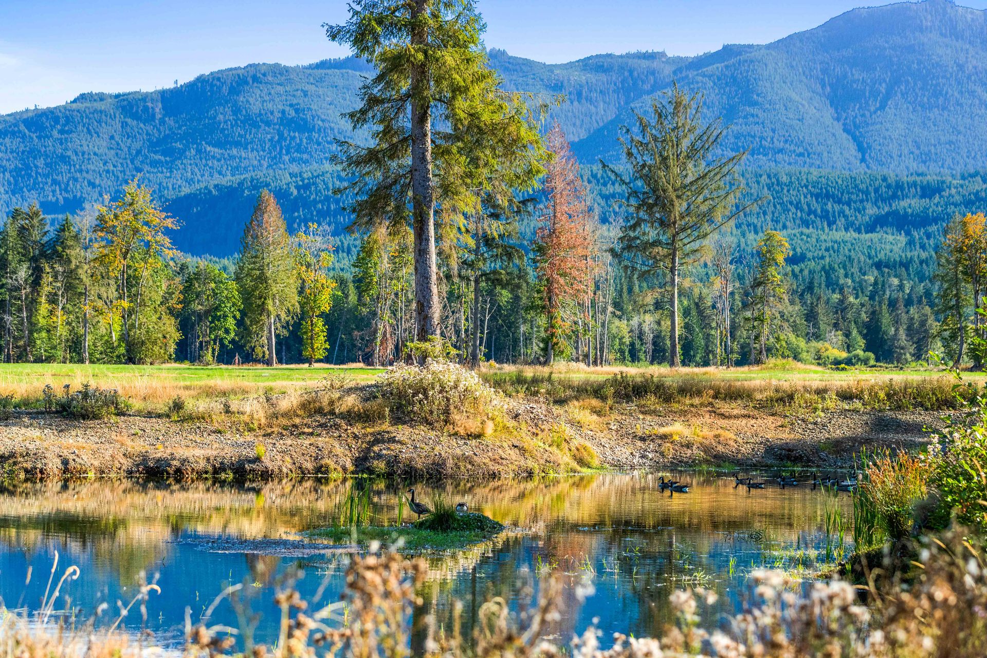  at Lot 1 Wavell Road, Union Bay/Fanny Bay, Comox Valley