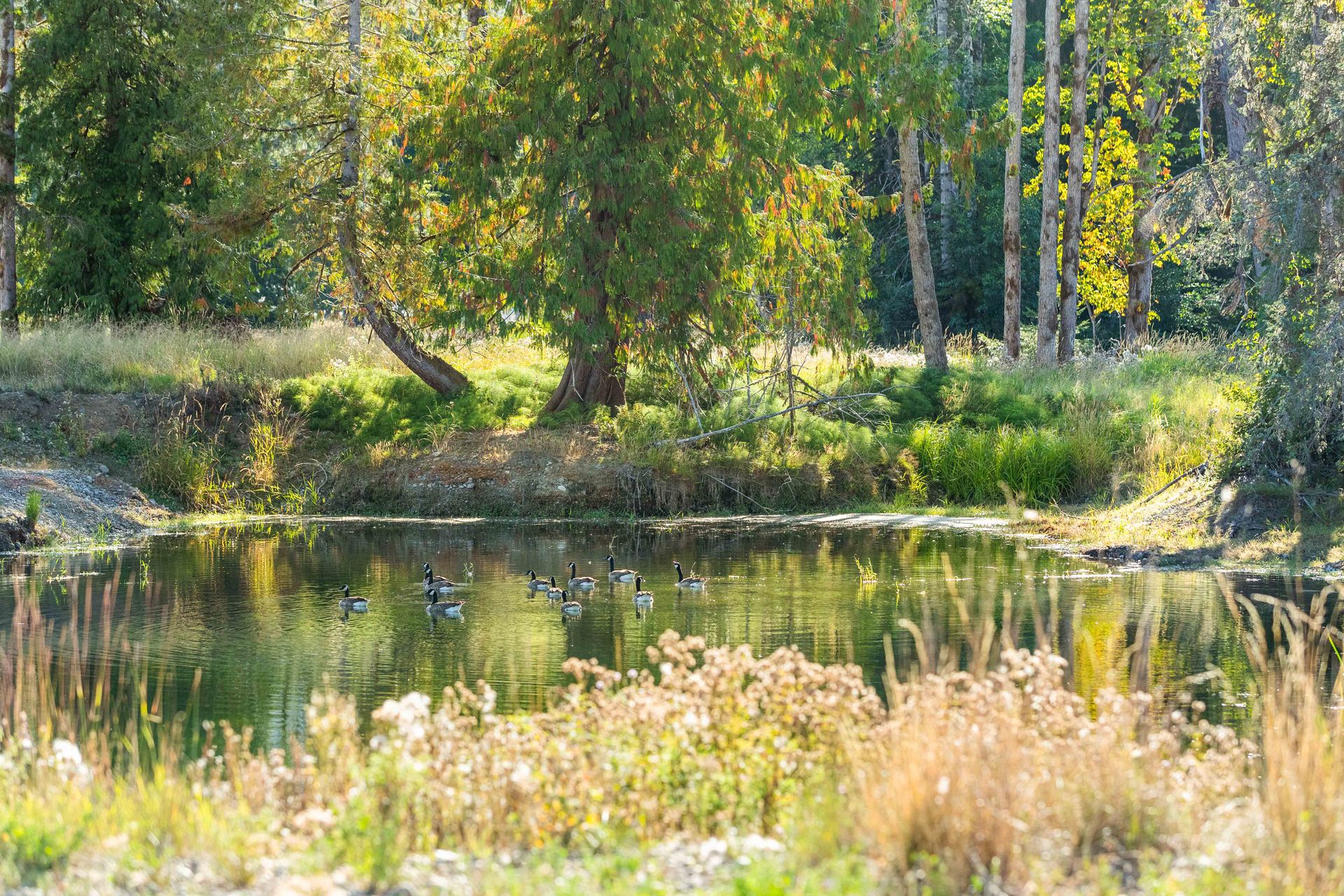  at Lot 1 Wavell Road, Union Bay/Fanny Bay, Comox Valley