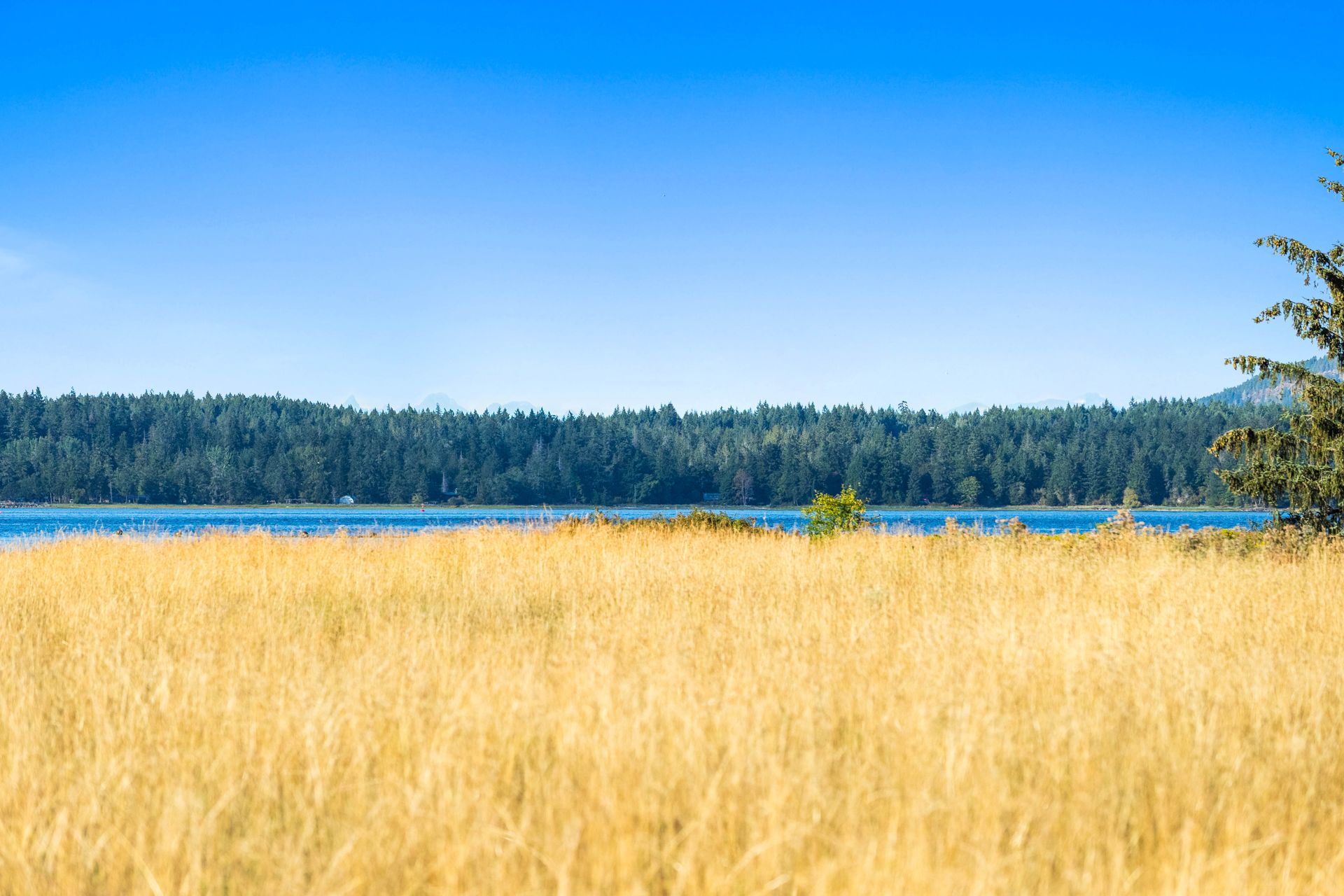  at Lot 1 Wavell Road, Union Bay/Fanny Bay, Comox Valley