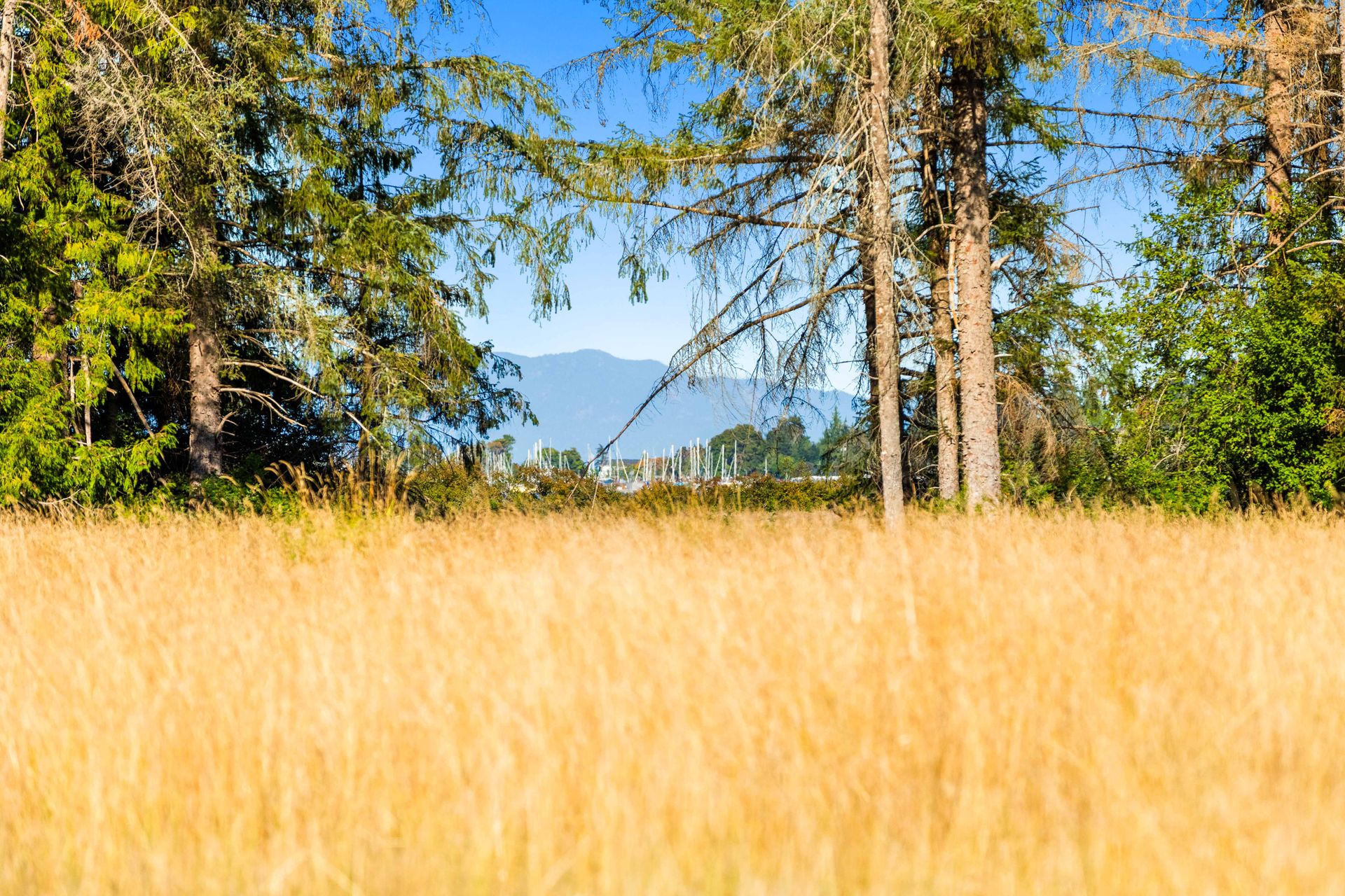  at Lot 1 Wavell Road, Union Bay/Fanny Bay, Comox Valley