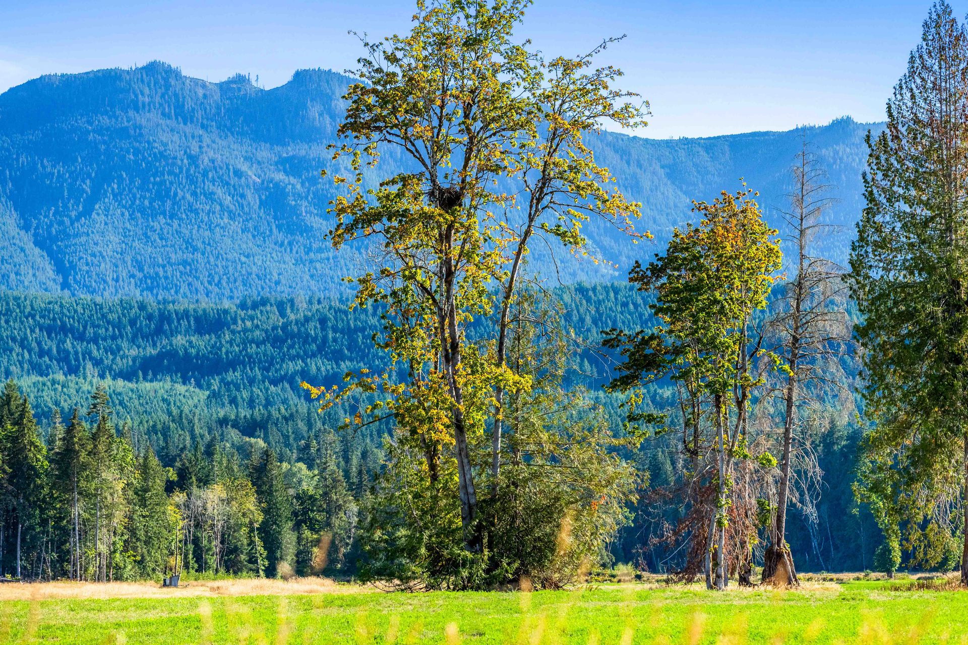  at Lot 1 Wavell Road, Union Bay/Fanny Bay, Comox Valley
