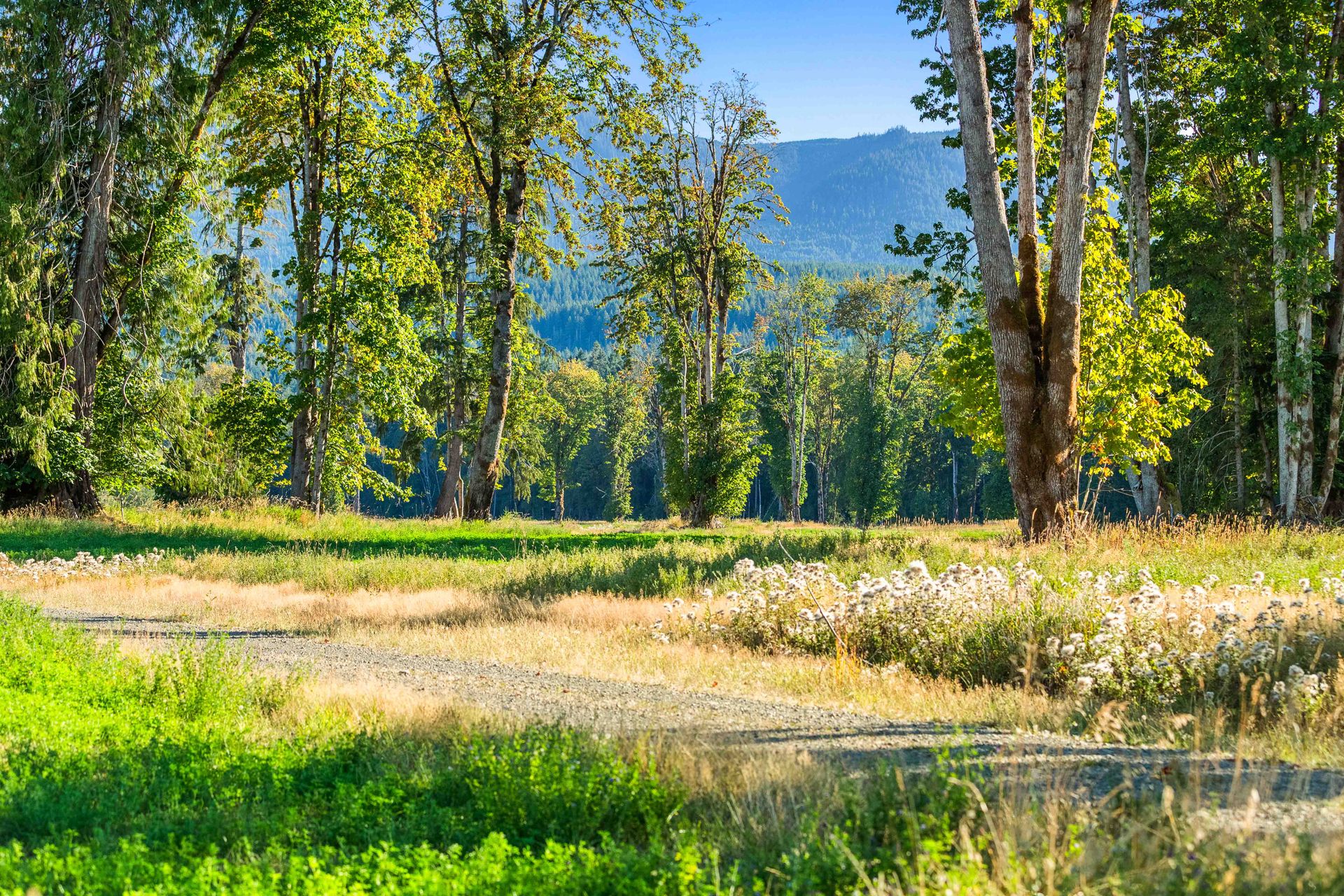  at Lot 1 Wavell Road, Union Bay/Fanny Bay, Comox Valley
