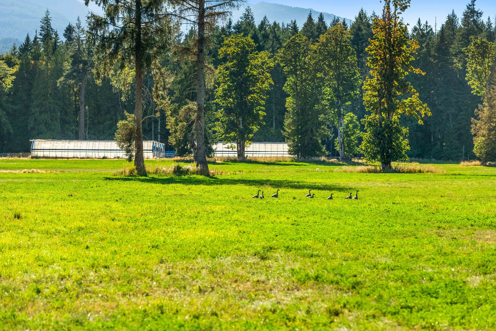  at Lot 1 Wavell Road, Union Bay/Fanny Bay, Comox Valley