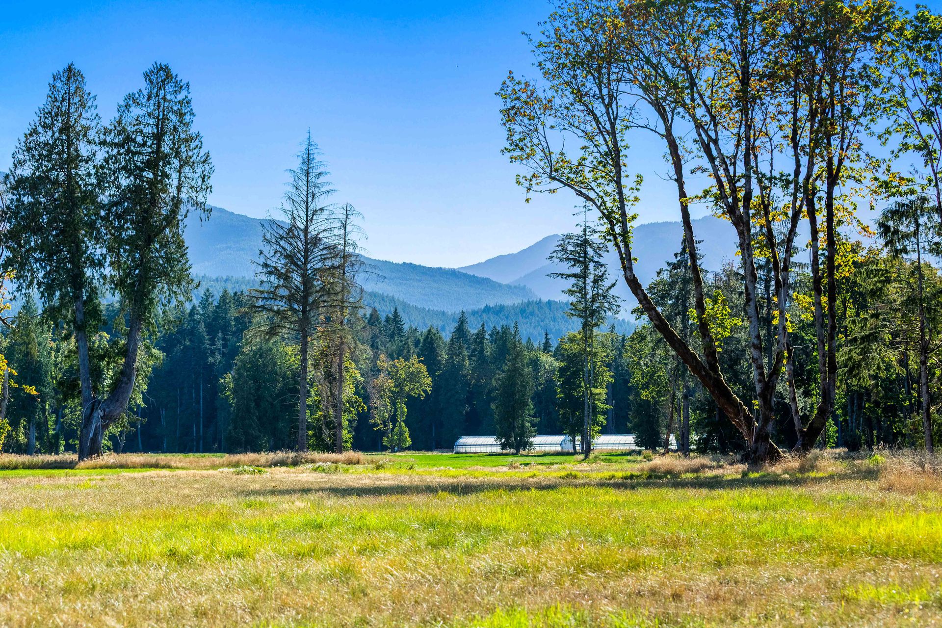  at Lot 1 Wavell Road, Union Bay/Fanny Bay, Comox Valley