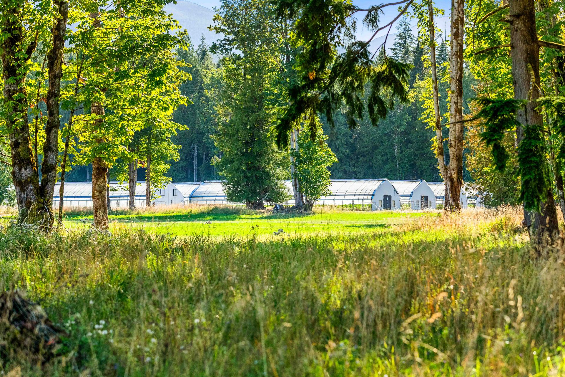  at Lot 1 Wavell Road, Union Bay/Fanny Bay, Comox Valley