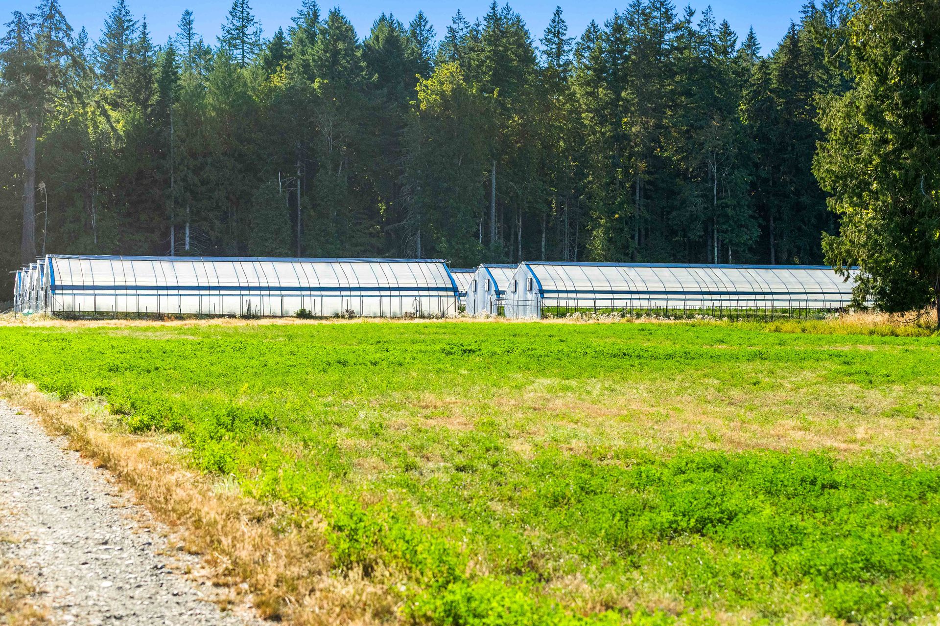  at Lot 1 Wavell Road, Union Bay/Fanny Bay, Comox Valley