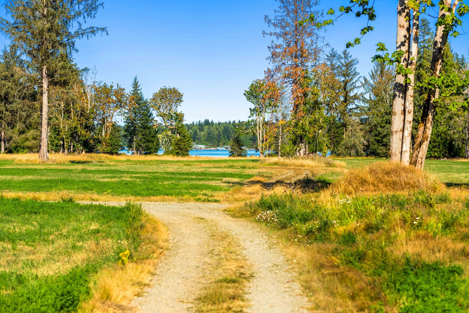  at Lot 1 Wavell Road, Union Bay/Fanny Bay, Comox Valley