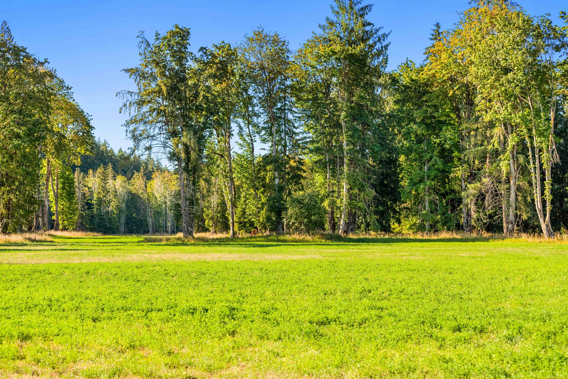  at Lot 1 Wavell Road, Union Bay/Fanny Bay, Comox Valley