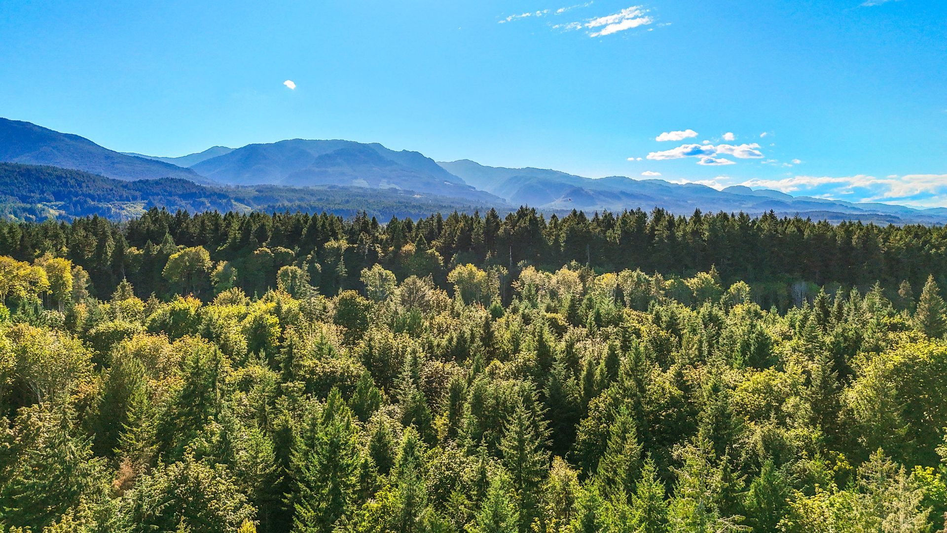  at Lot 1 Wavell Road, Union Bay/Fanny Bay, Comox Valley