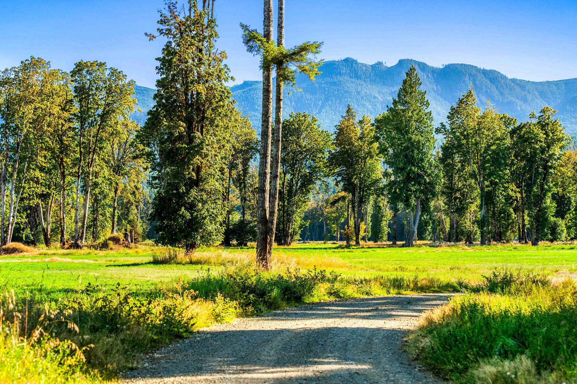  at Lot 1 Wavell Road, Union Bay/Fanny Bay, Comox Valley