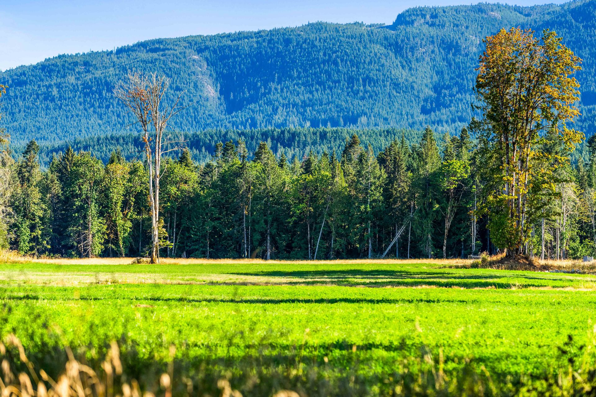  at Lot 1 Wavell Road, Union Bay/Fanny Bay, Comox Valley