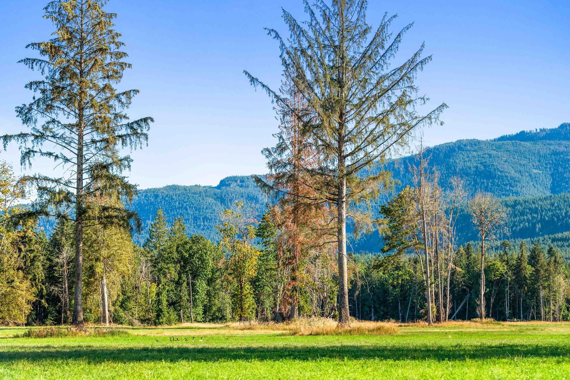  at Lot 1 Wavell Road, Union Bay/Fanny Bay, Comox Valley