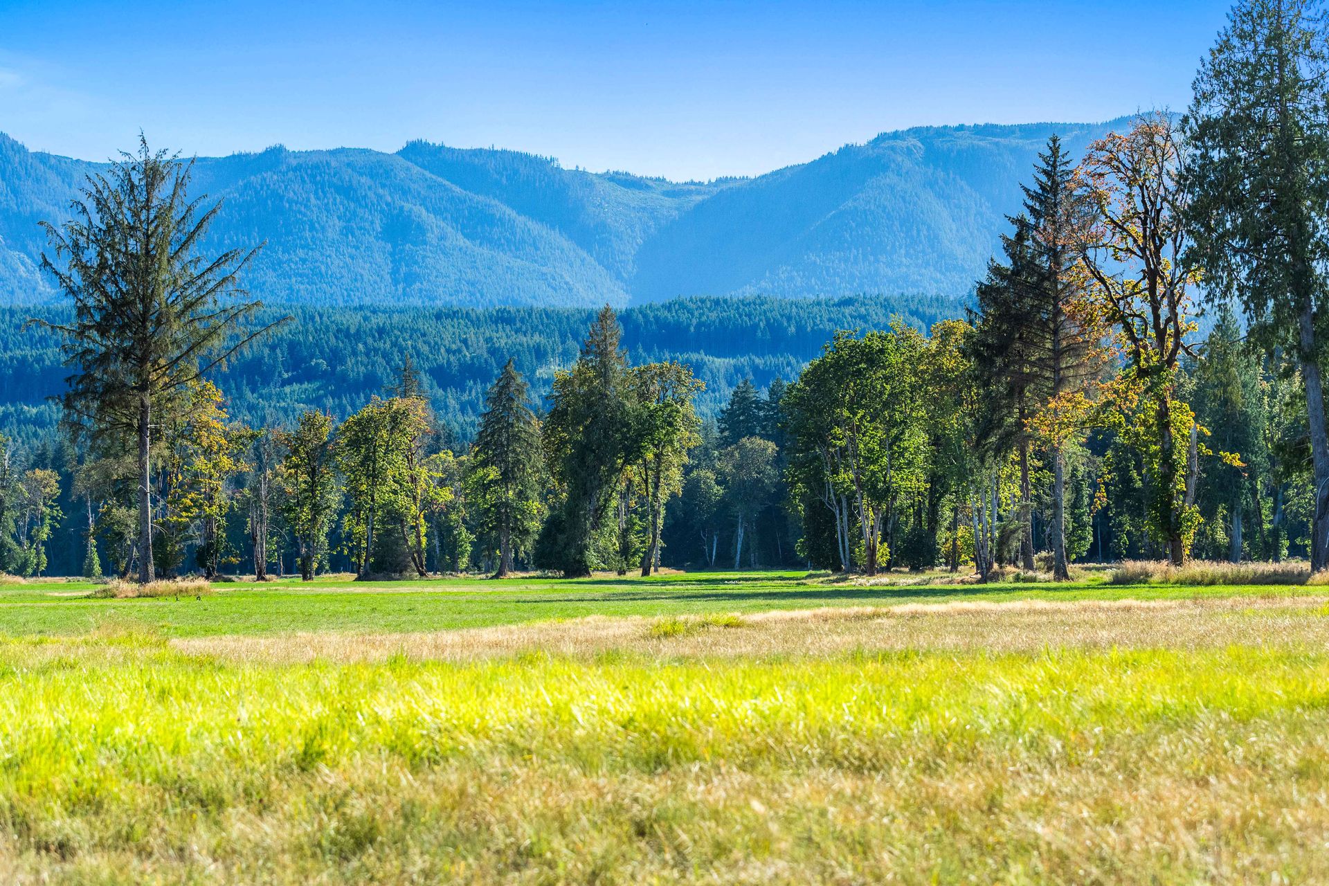  at Lot 1 Wavell Road, Union Bay/Fanny Bay, Comox Valley
