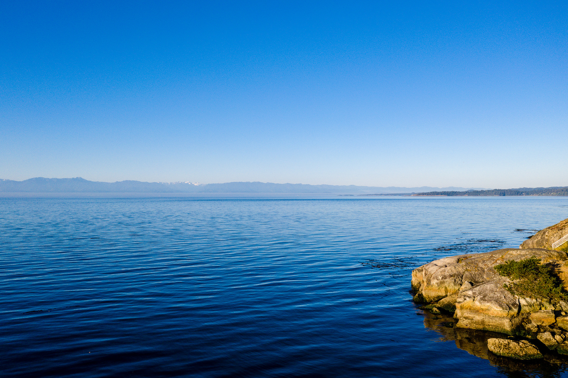  at 430 Grafton Street, Saxe Point, Esquimalt