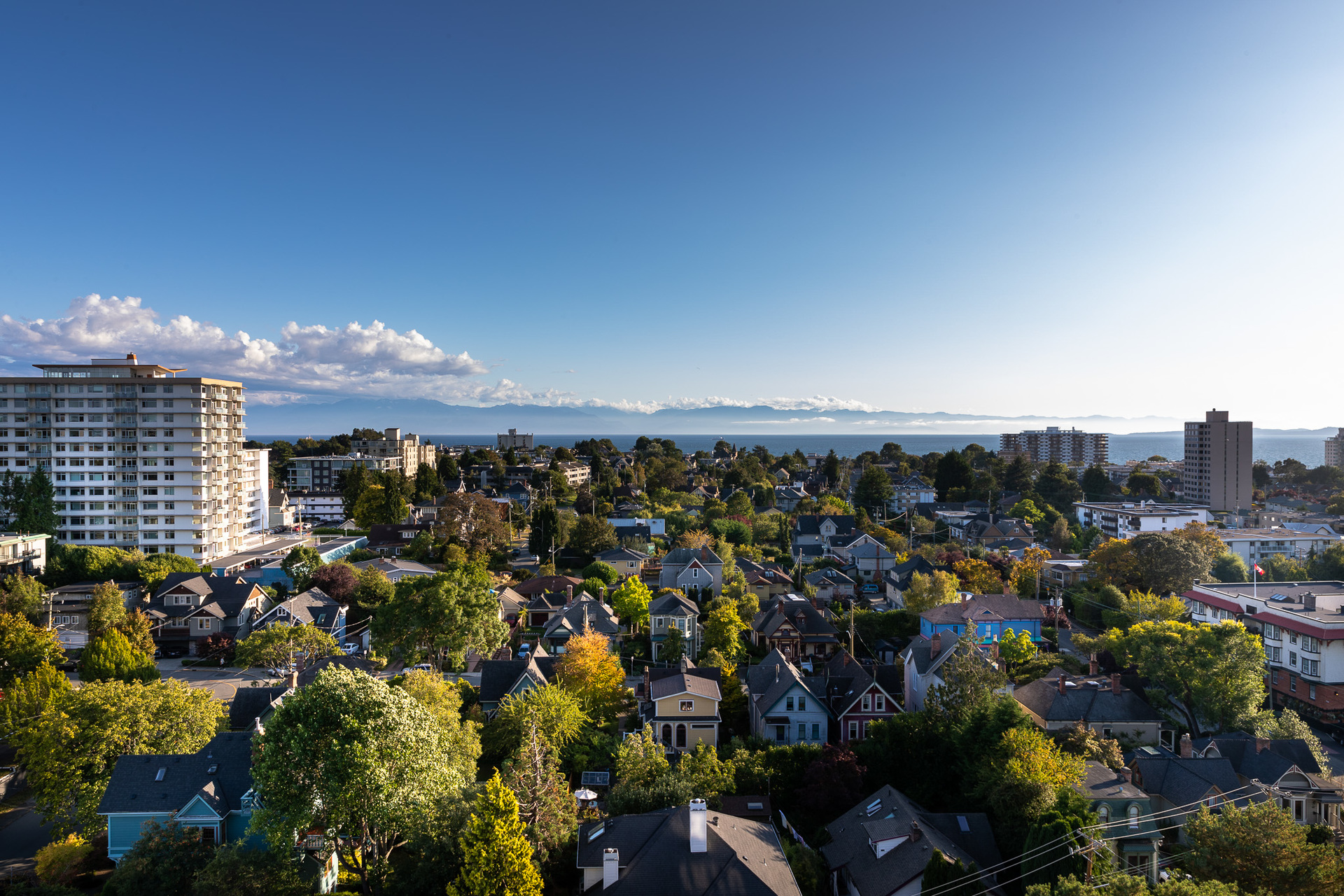 at 255 Government Street, James Bay, Victoria at 255 Government Street, James Bay, Victoria