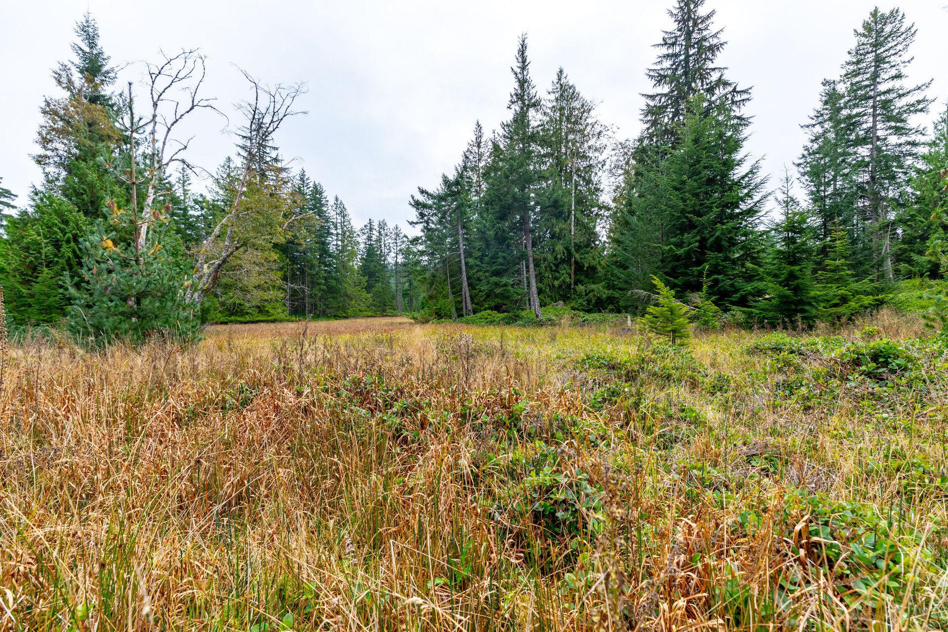 at 117 Skywater Hollow, Salt Spring, Gulf Islands at 117 Skywater Hollow, Salt Spring, Gulf Islands