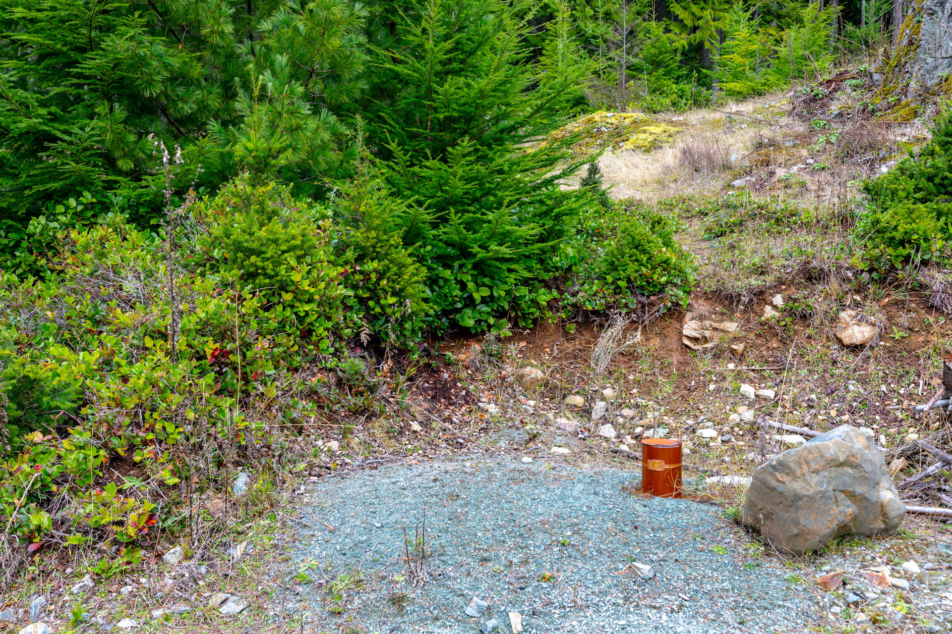 at 117 Skywater Hollow, Salt Spring, Gulf Islands at 117 Skywater Hollow, Salt Spring, Gulf Islands