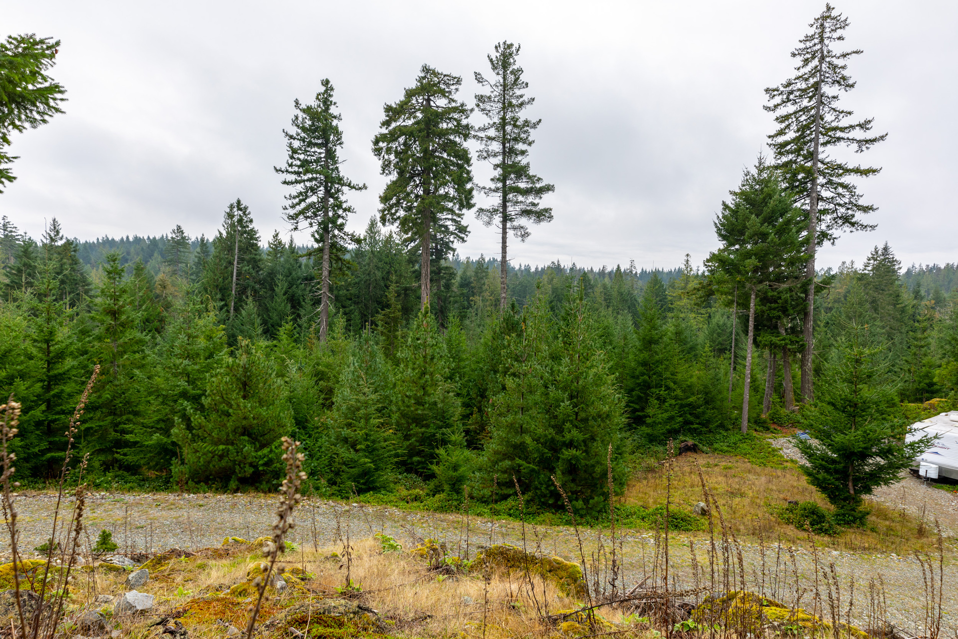 at 117 Skywater Hollow, Salt Spring, Gulf Islands at 117 Skywater Hollow, Salt Spring, Gulf Islands