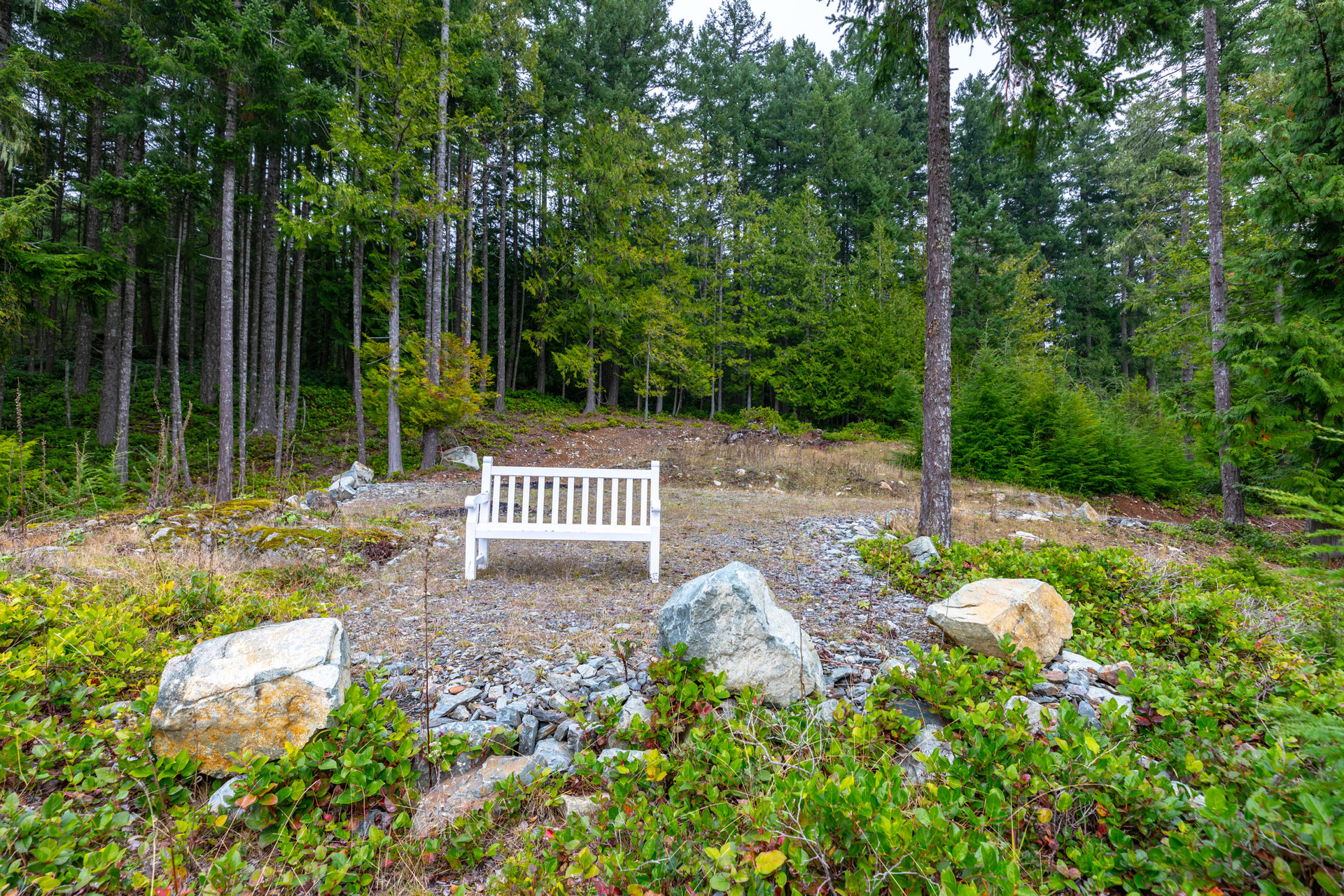at 117 Skywater Hollow, Salt Spring, Gulf Islands at 117 Skywater Hollow, Salt Spring, Gulf Islands