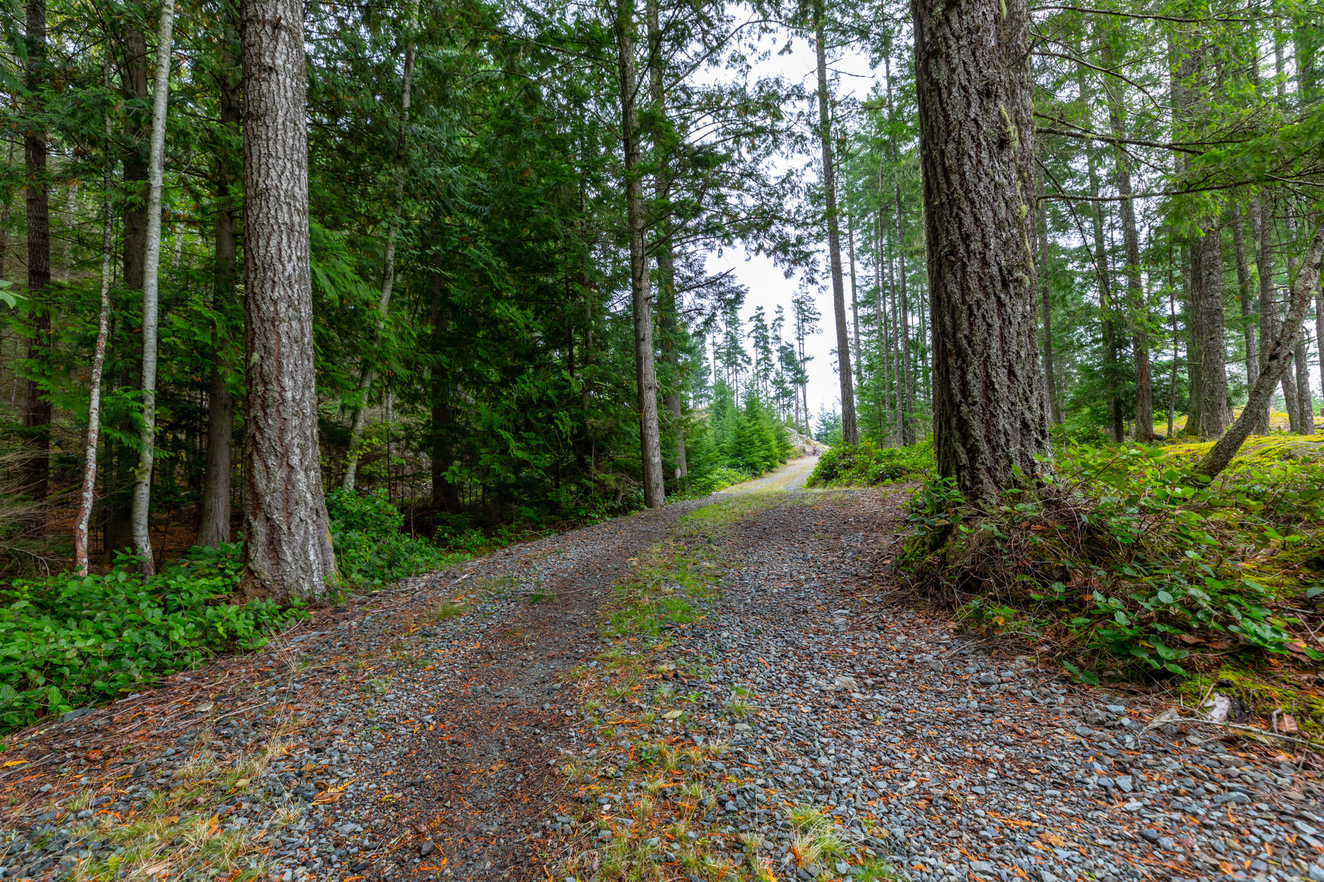 at 117 Skywater Hollow, Salt Spring, Gulf Islands at 117 Skywater Hollow, Salt Spring, Gulf Islands