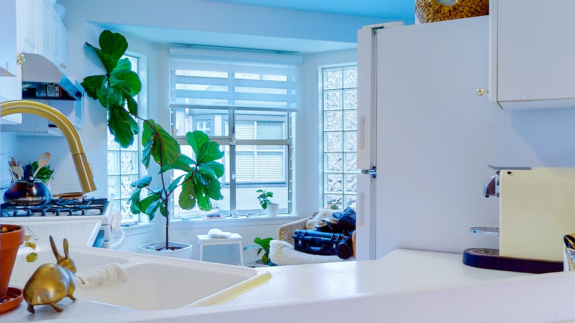  at 8 - 1010 Pembroke Street, Victoria