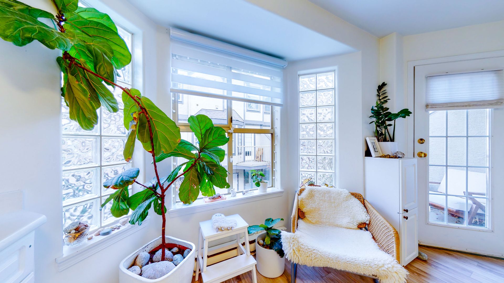  at 8 - 1010 Pembroke Street, Victoria