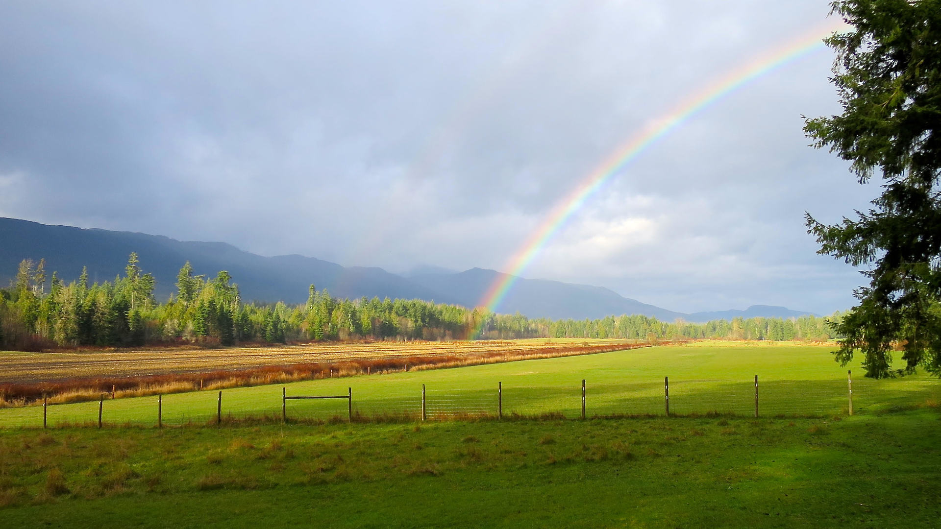 at 1661 & 1697 Errington Road, Errington/Coombs/Hilliers, Oceanside  at 1661 & 1697 Errington Road, Errington/Coombs/Hilliers, Oceanside