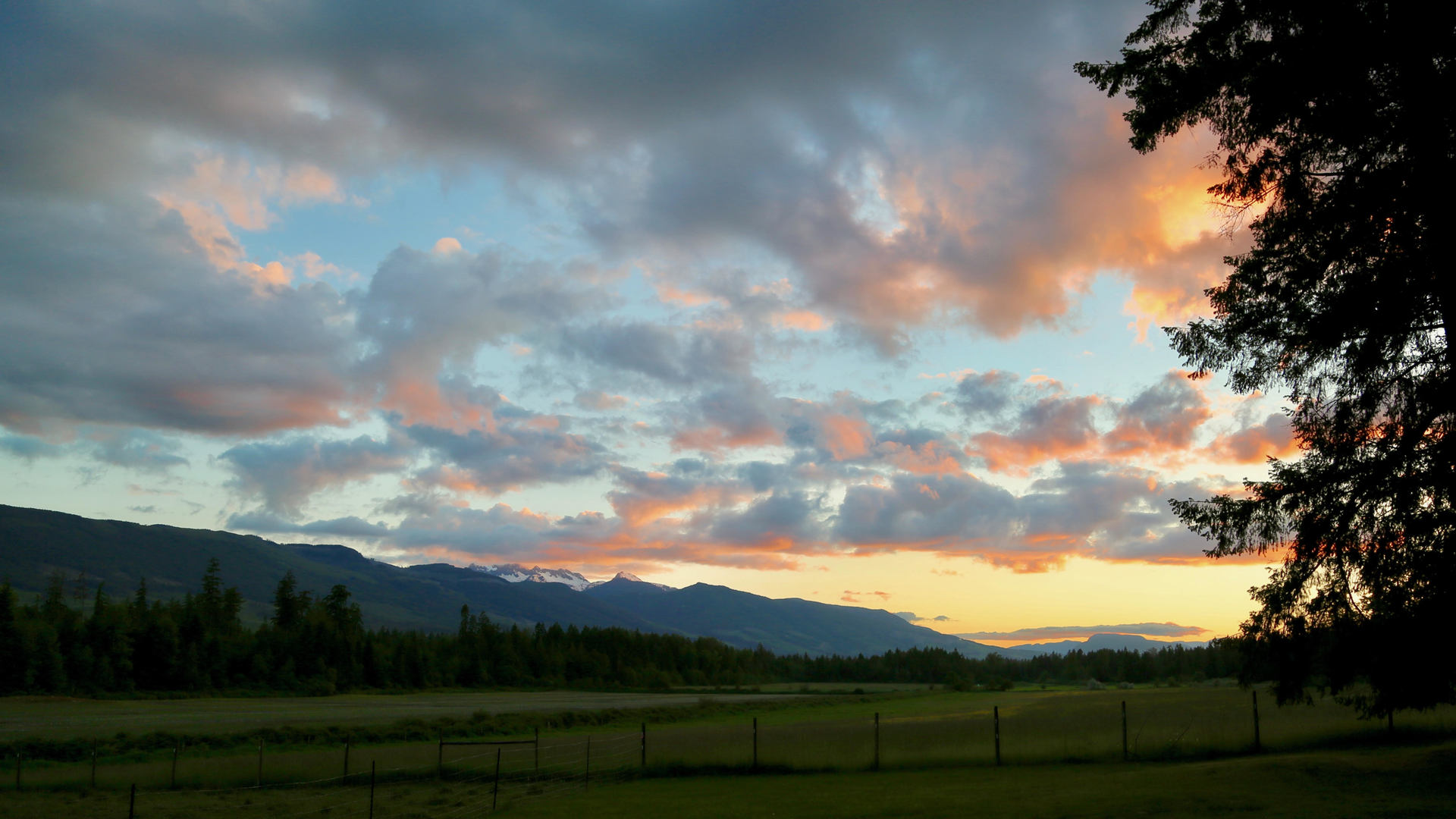 at 1661 & 1697 Errington Road, Errington/Coombs/Hilliers, Oceanside  at 1661 & 1697 Errington Road, Errington/Coombs/Hilliers, Oceanside