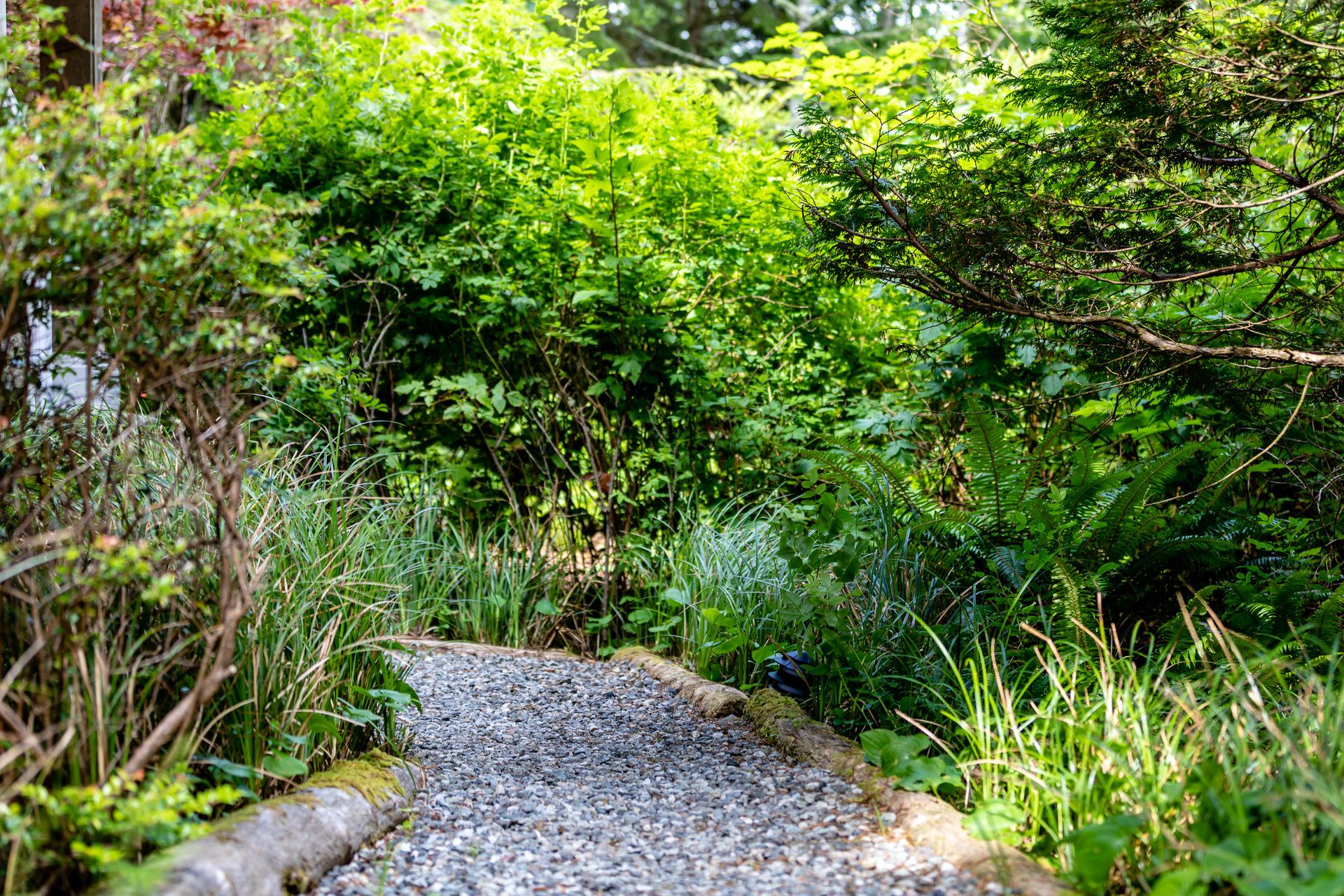 at 1375 Thornberg Crescent, Tofino, Port Alberni and West Coast at 1375 Thornberg Crescent, Tofino, Port Alberni and West Coast