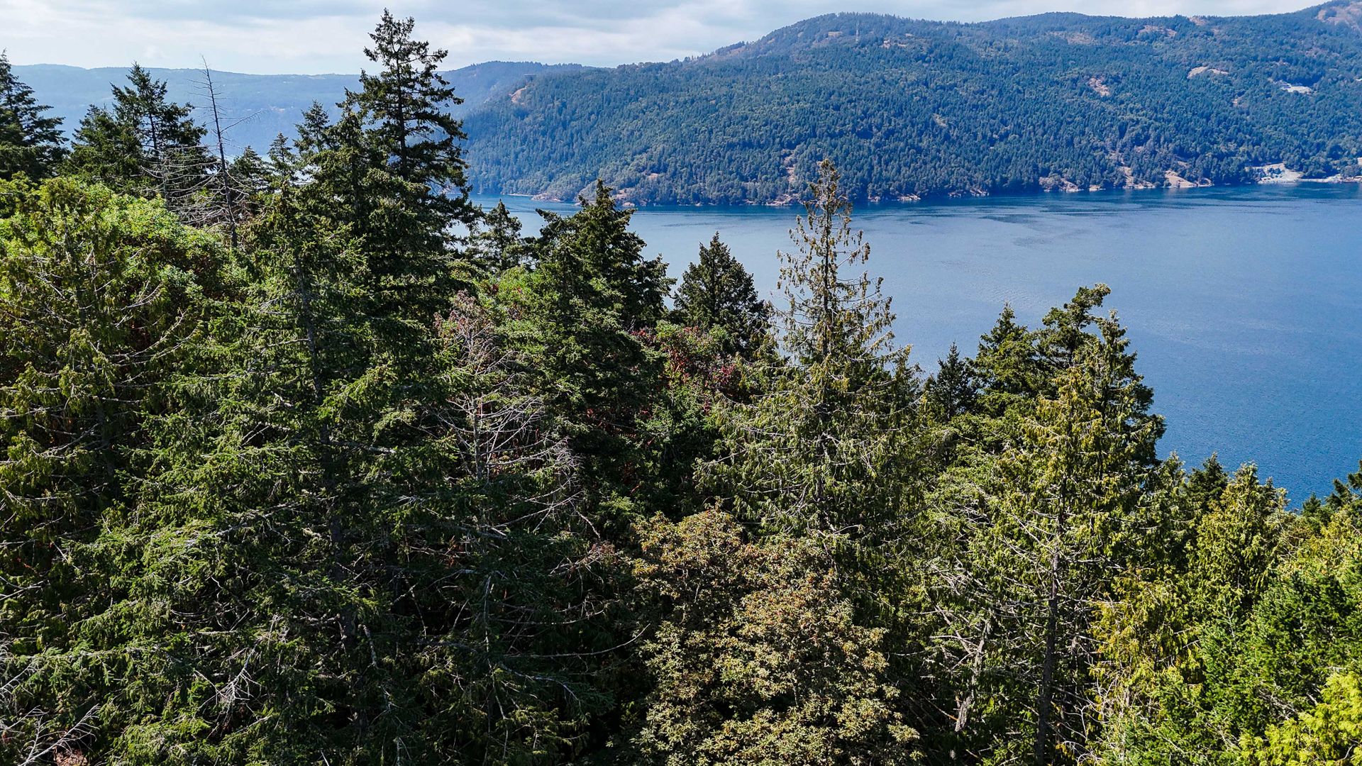 at Lot 2 & 4 Willis Point Road, Willis Point, Central Saanich  at Lot 2 & 4 Willis Point Road, Willis Point, Central Saanich