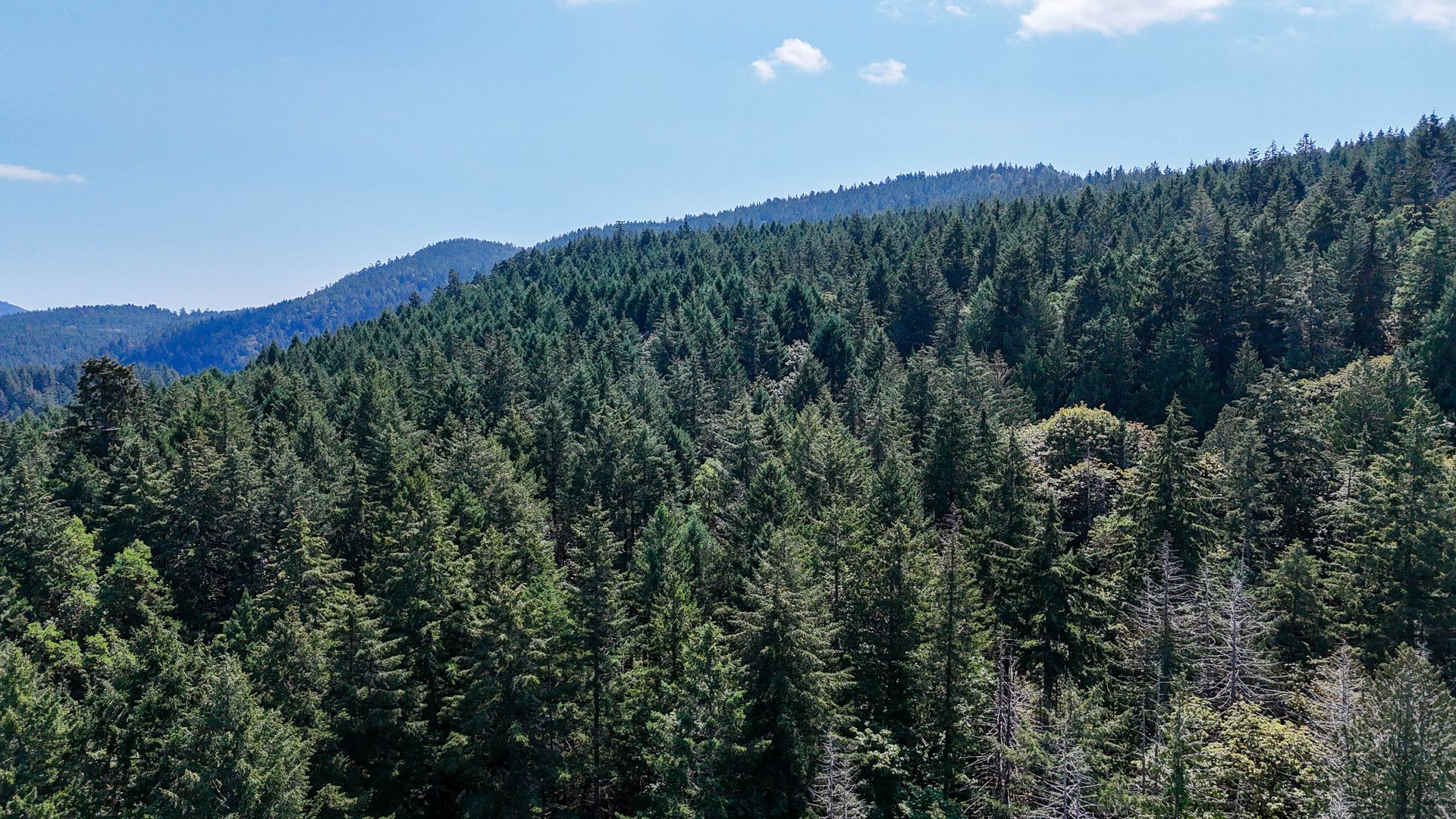 at Lot 4 Willis Point Road, Willis Point, Central Saanich  at Lot 4 Willis Point Road, Willis Point, Central Saanich