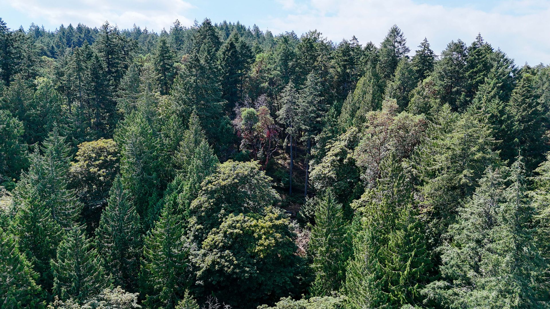 at Lot 4 Willis Point Road, Willis Point, Central Saanich  at Lot 4 Willis Point Road, Willis Point, Central Saanich