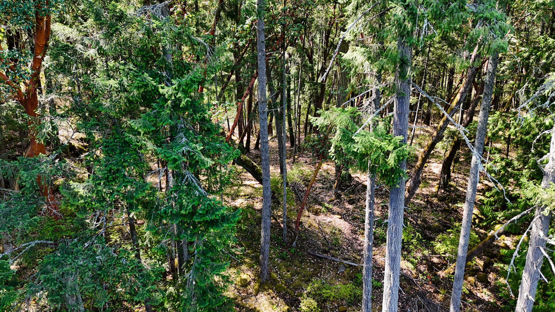 at Lot 4 Willis Point Road, Willis Point, Central Saanich  at Lot 4 Willis Point Road, Willis Point, Central Saanich