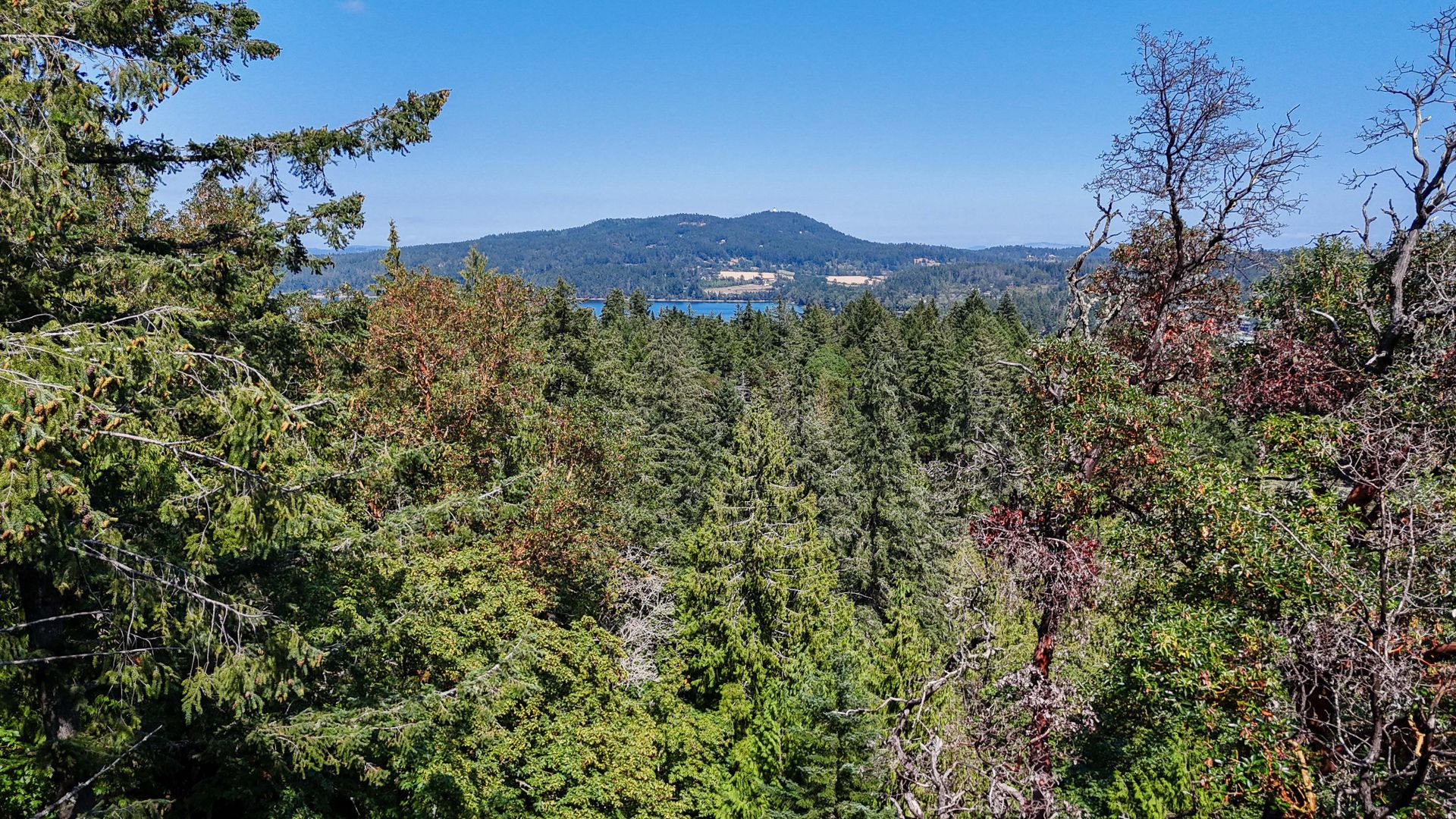 at Lot 4 Willis Point Road, Willis Point, Central Saanich  at Lot 4 Willis Point Road, Willis Point, Central Saanich