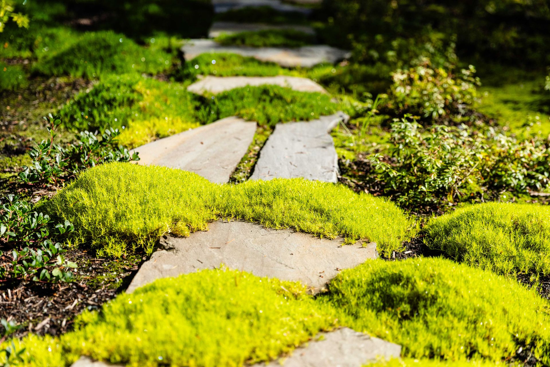 at 848 Lands End Road, Lands End, North Saanich  at 848 Lands End Road, Lands End, North Saanich