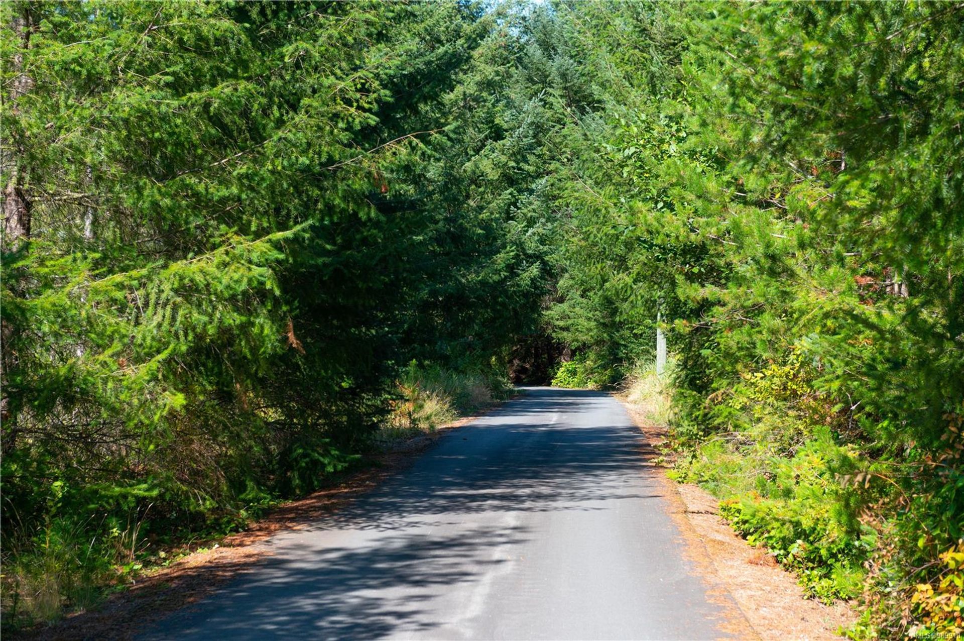  at 5165 Duncan Bay Road, Campbell River North, Campbell River